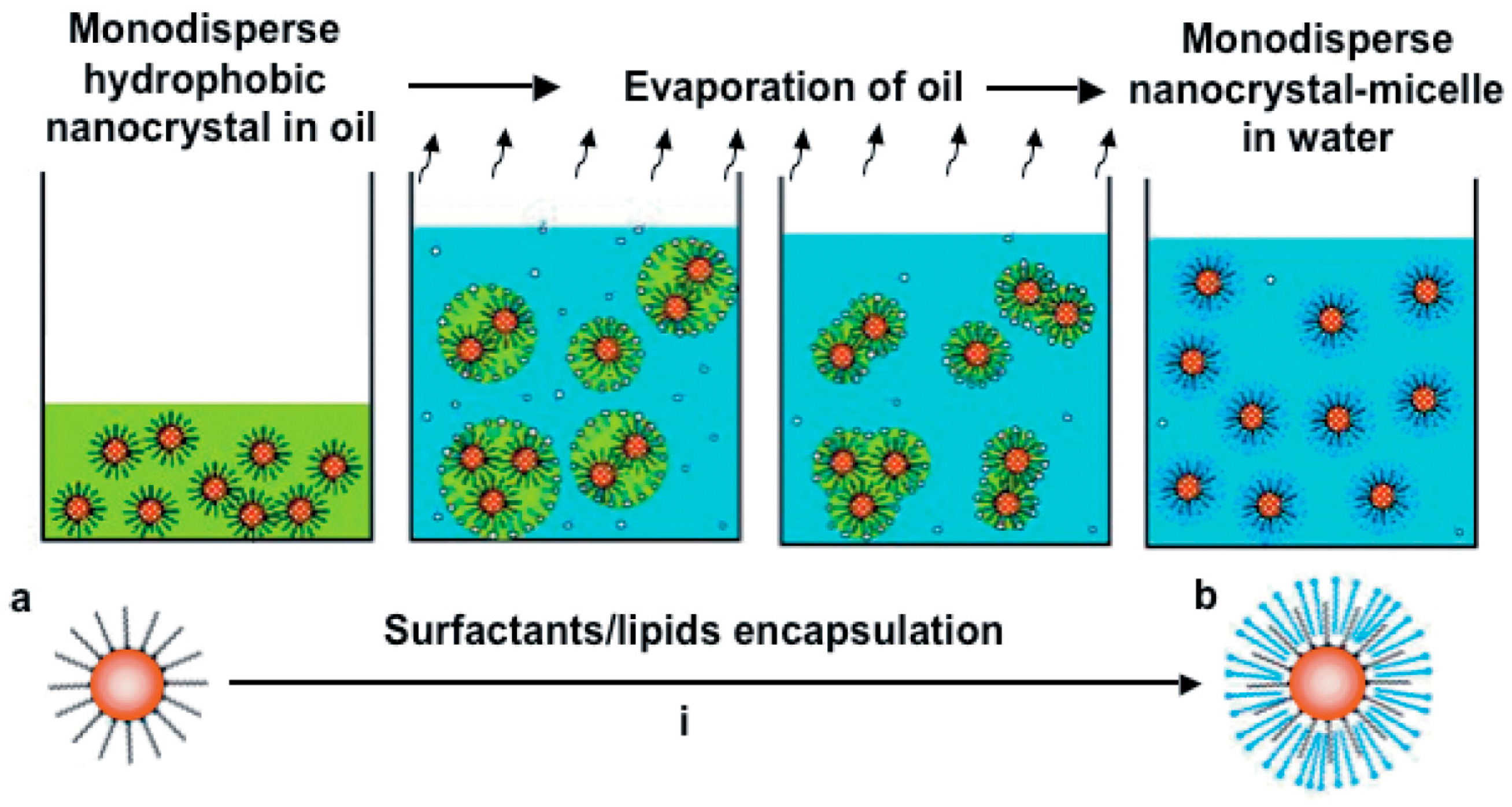 Nanomaterials 13 01342 g008 Nanomaterials 13 01342 g008