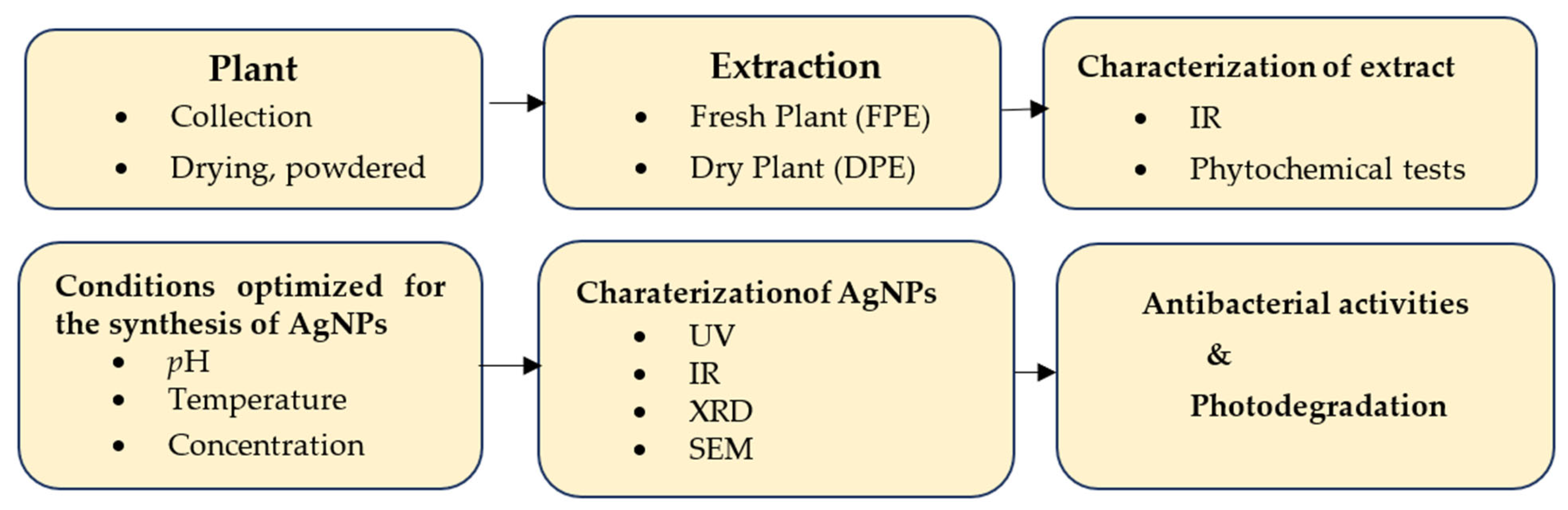 Nanomaterials 13 01343 sch001 Nanomaterials 13 01343 sch001