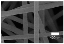 Nanomaterials 13 01350 i003 Nanomaterials 13 01350 i003