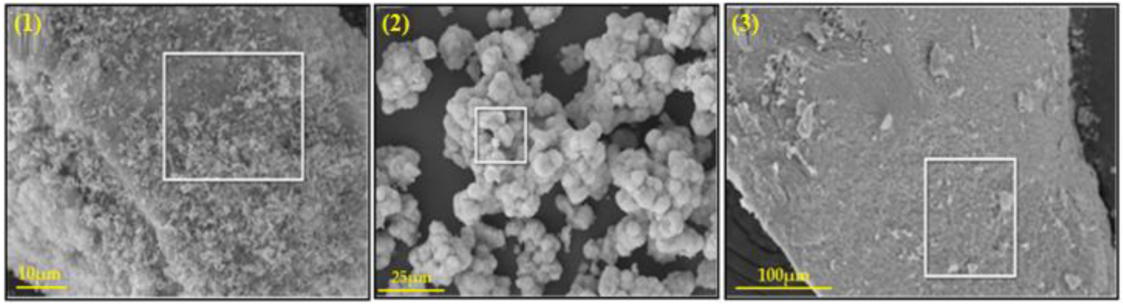 Nanomaterials 13 01351 g002