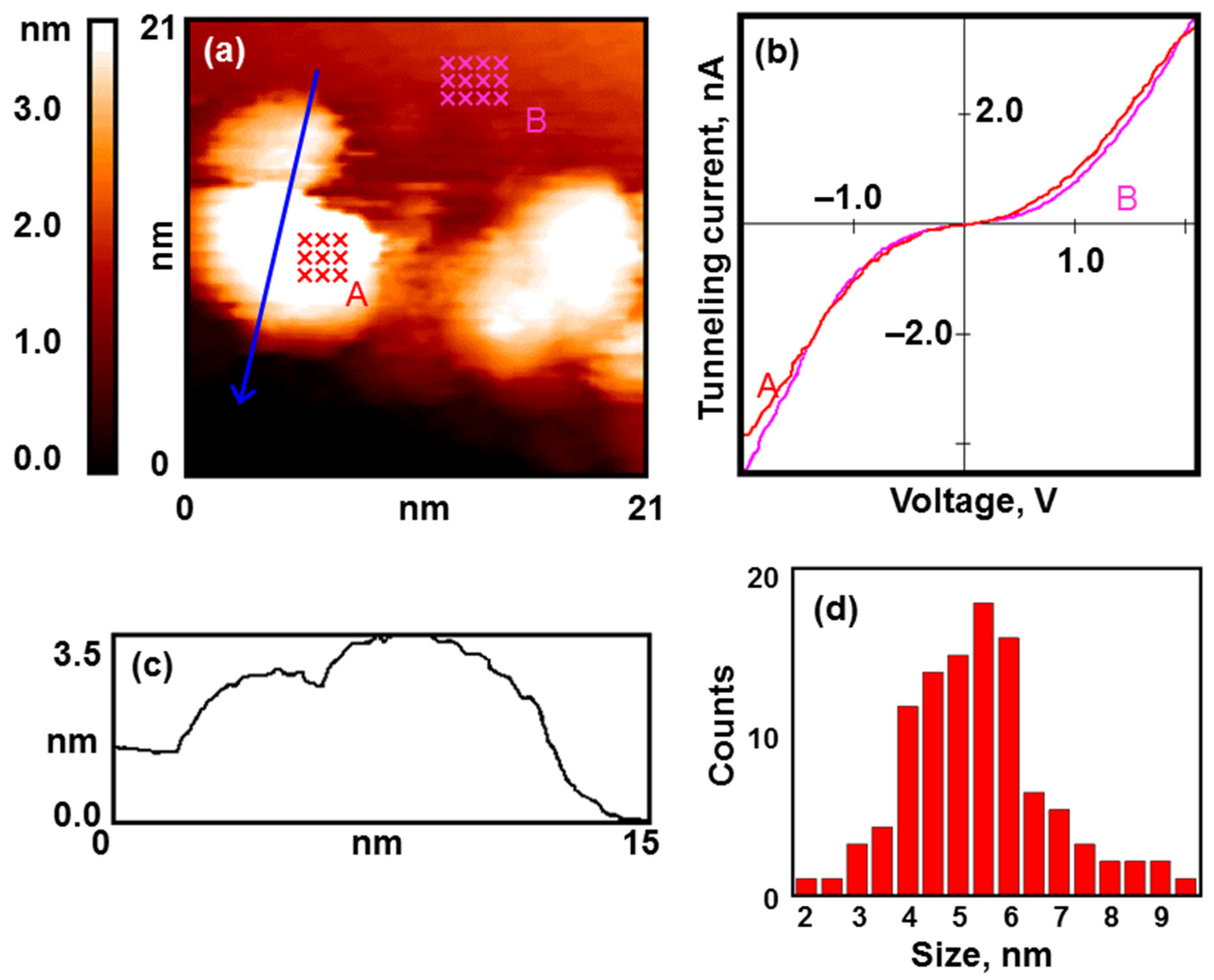 Nanomaterials 13 01365 g001