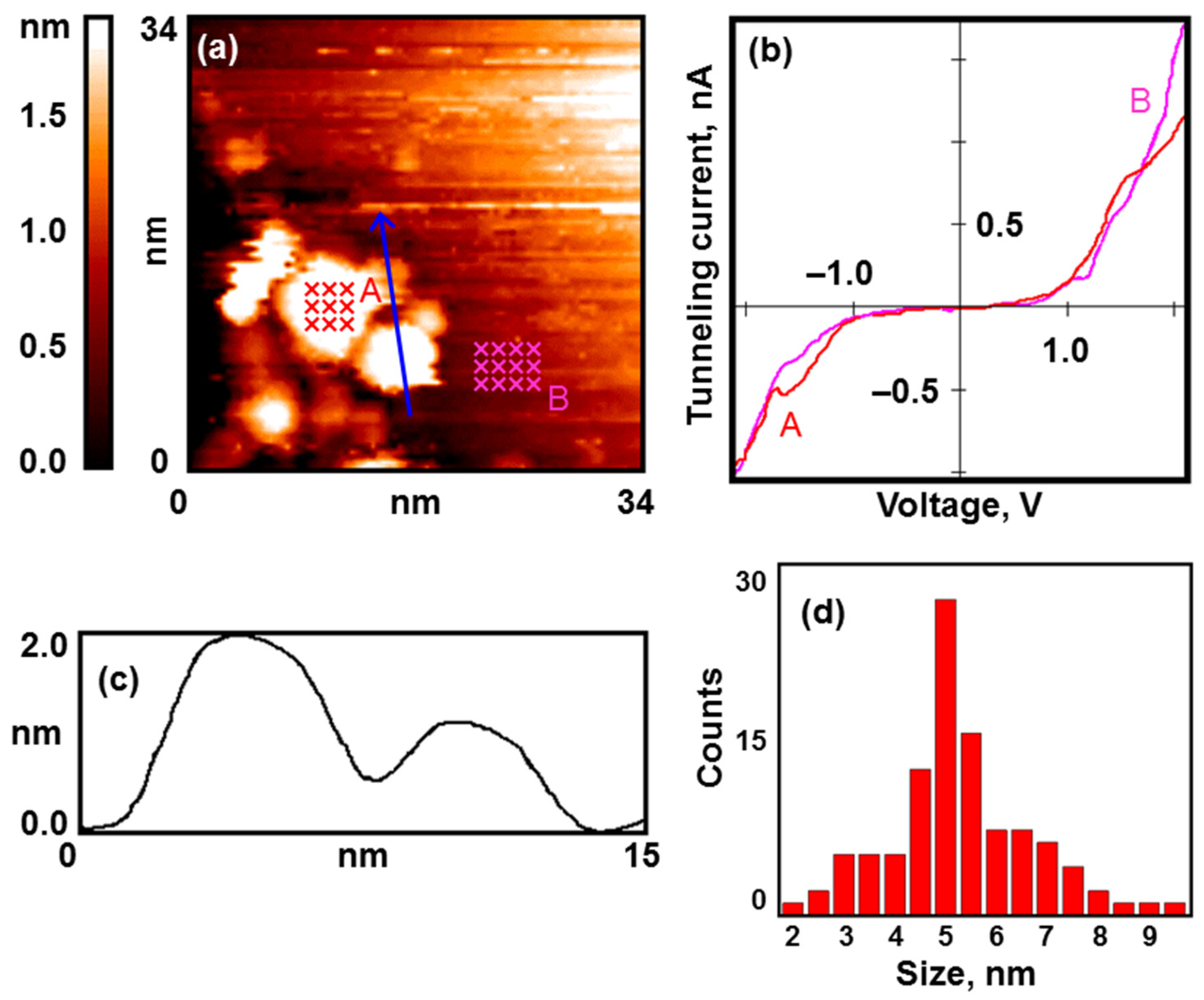 Nanomaterials 13 01365 g005