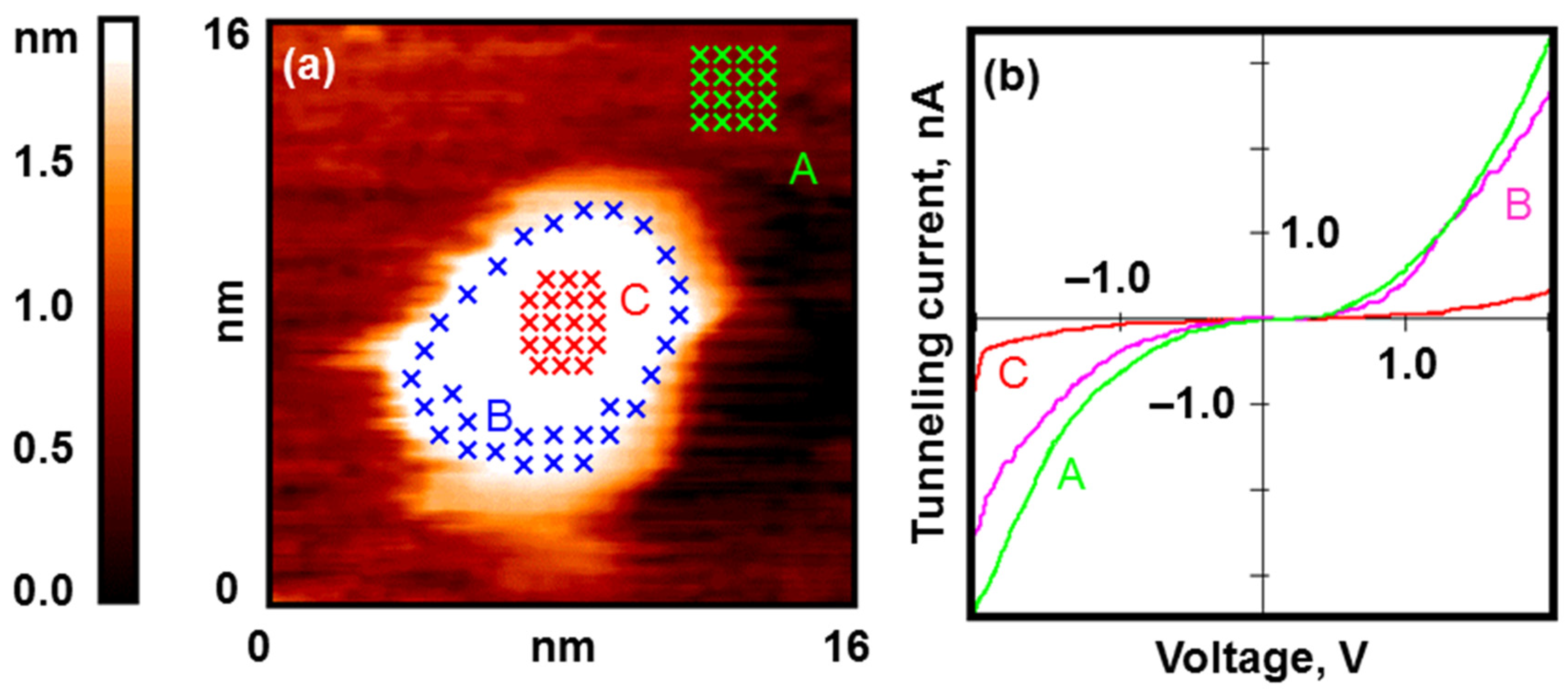 Nanomaterials 13 01365 g006