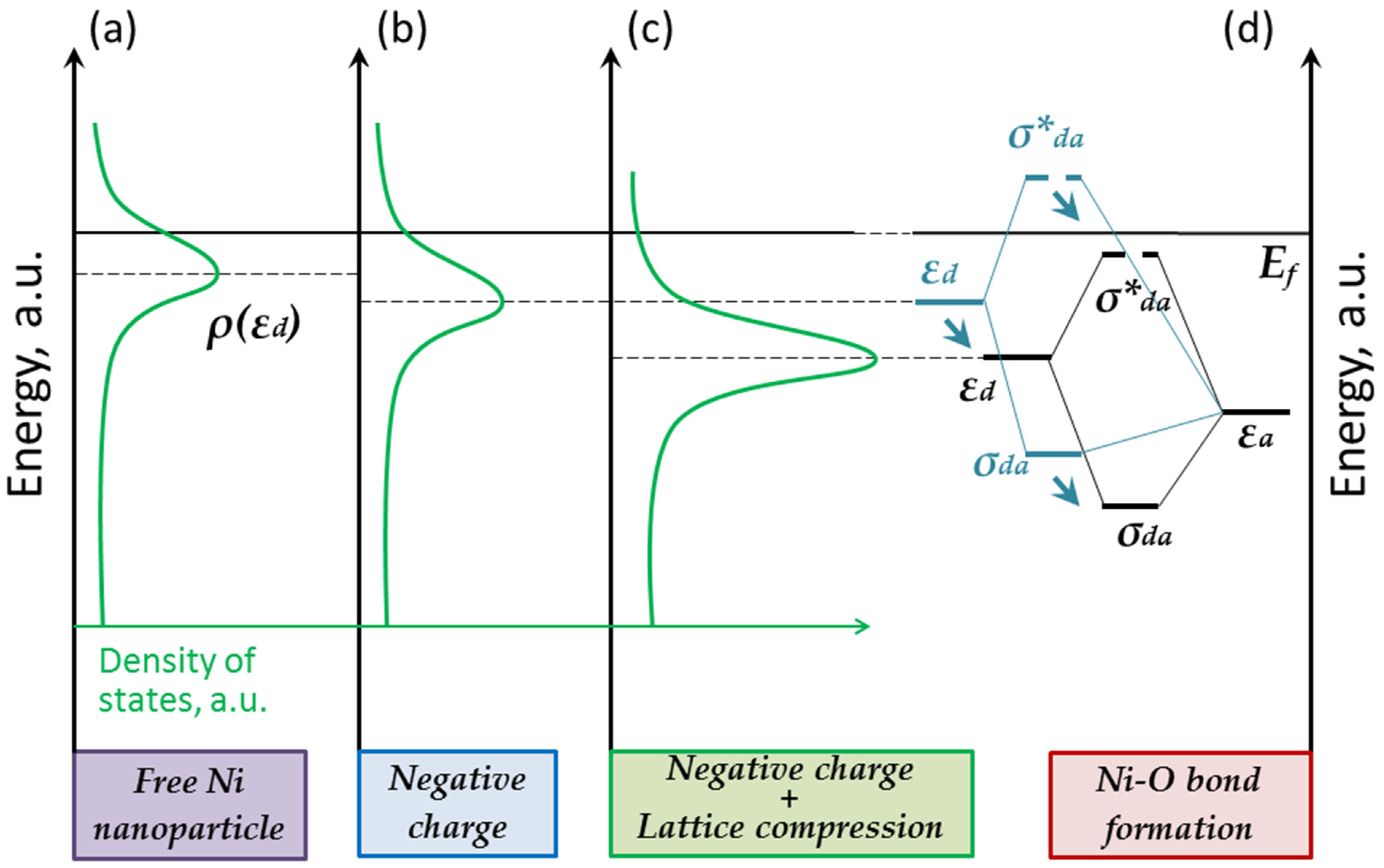 Nanomaterials 13 01365 g007