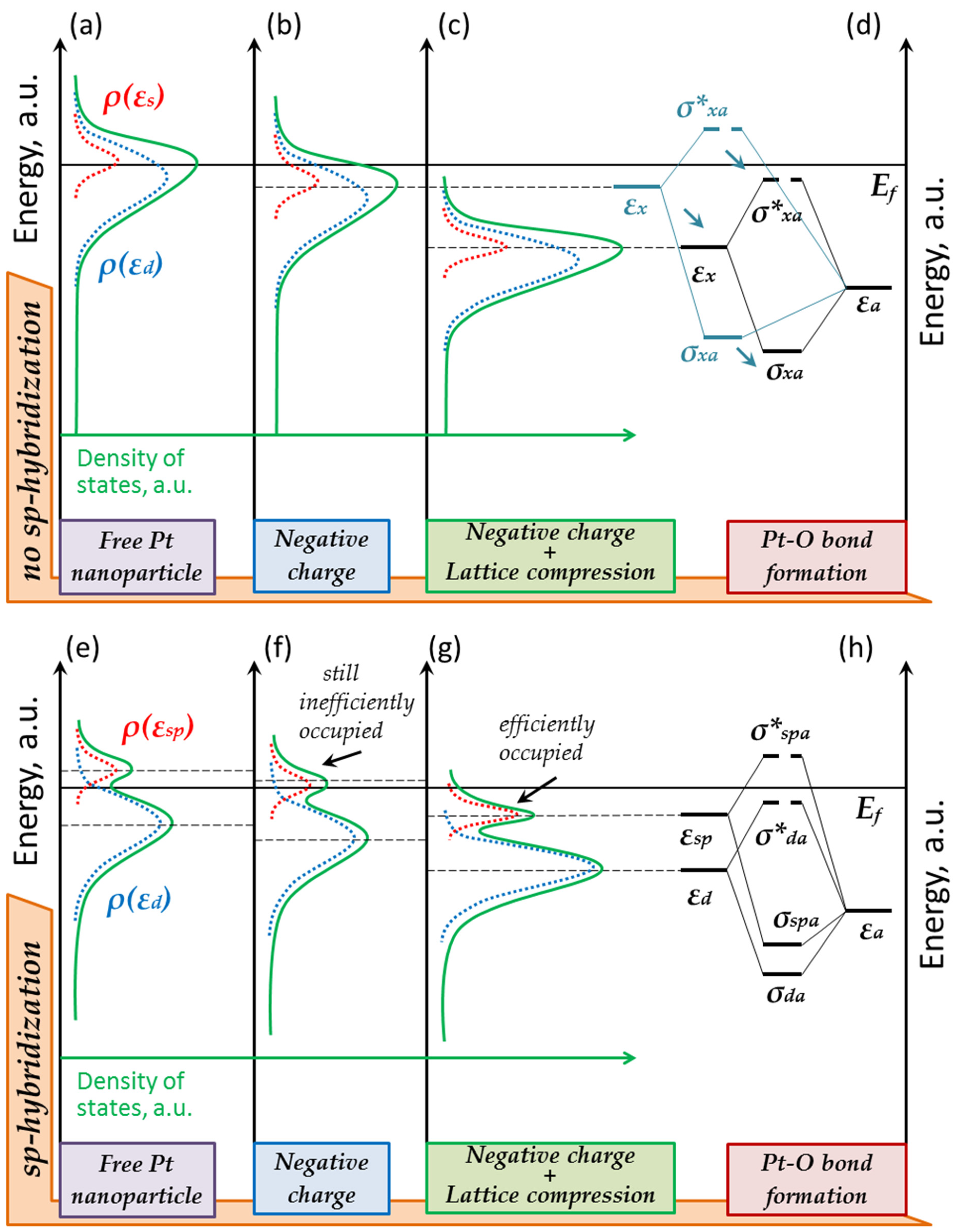 Nanomaterials 13 01365 g010