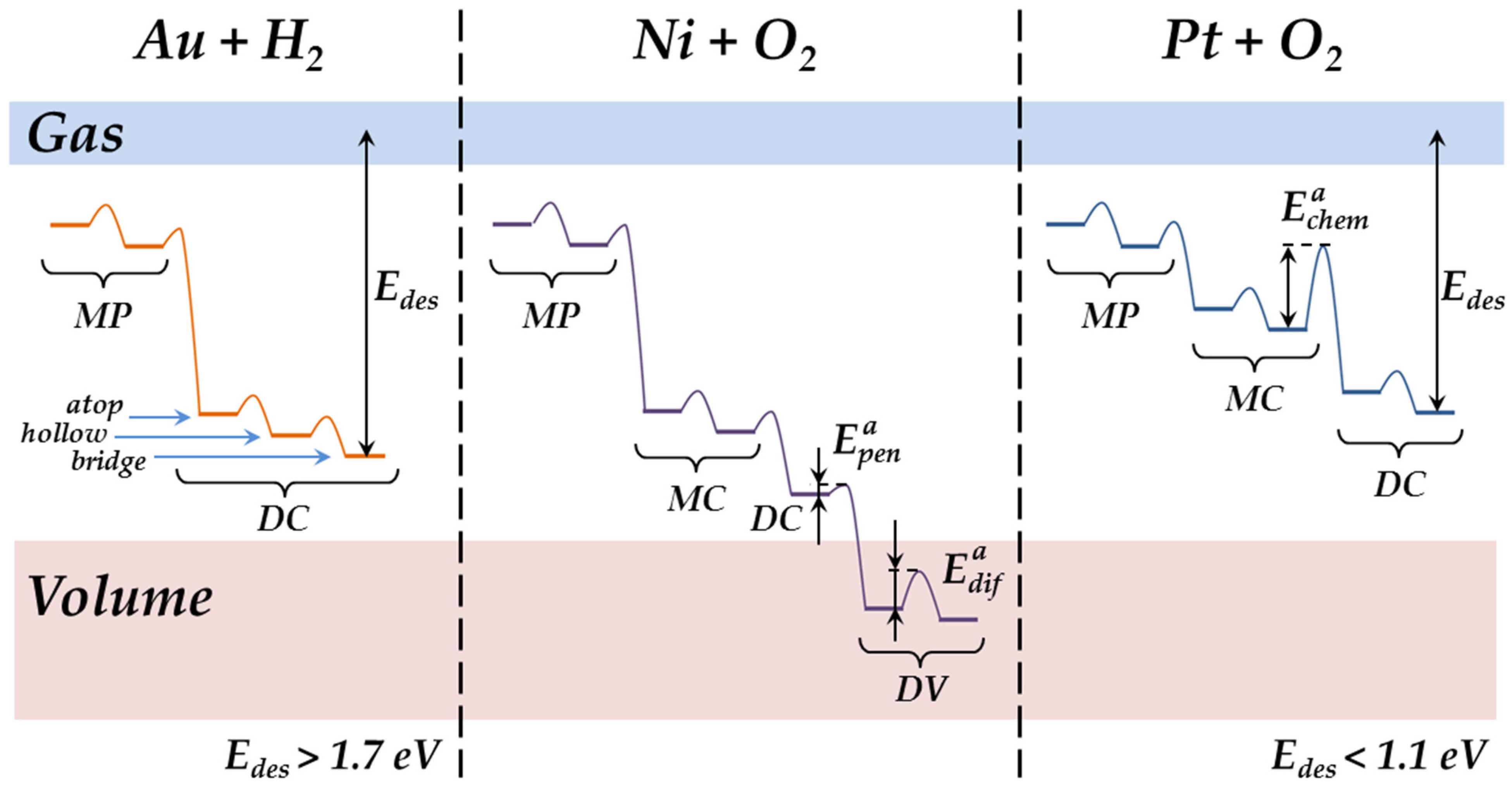 Nanomaterials 13 01365 g011