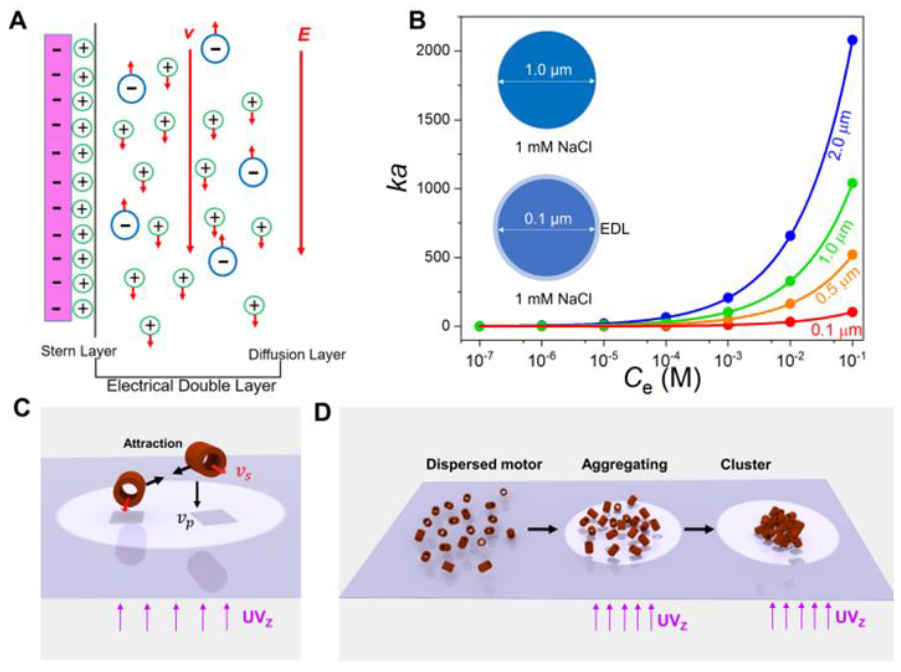 Nanomaterials 13 01370 g001