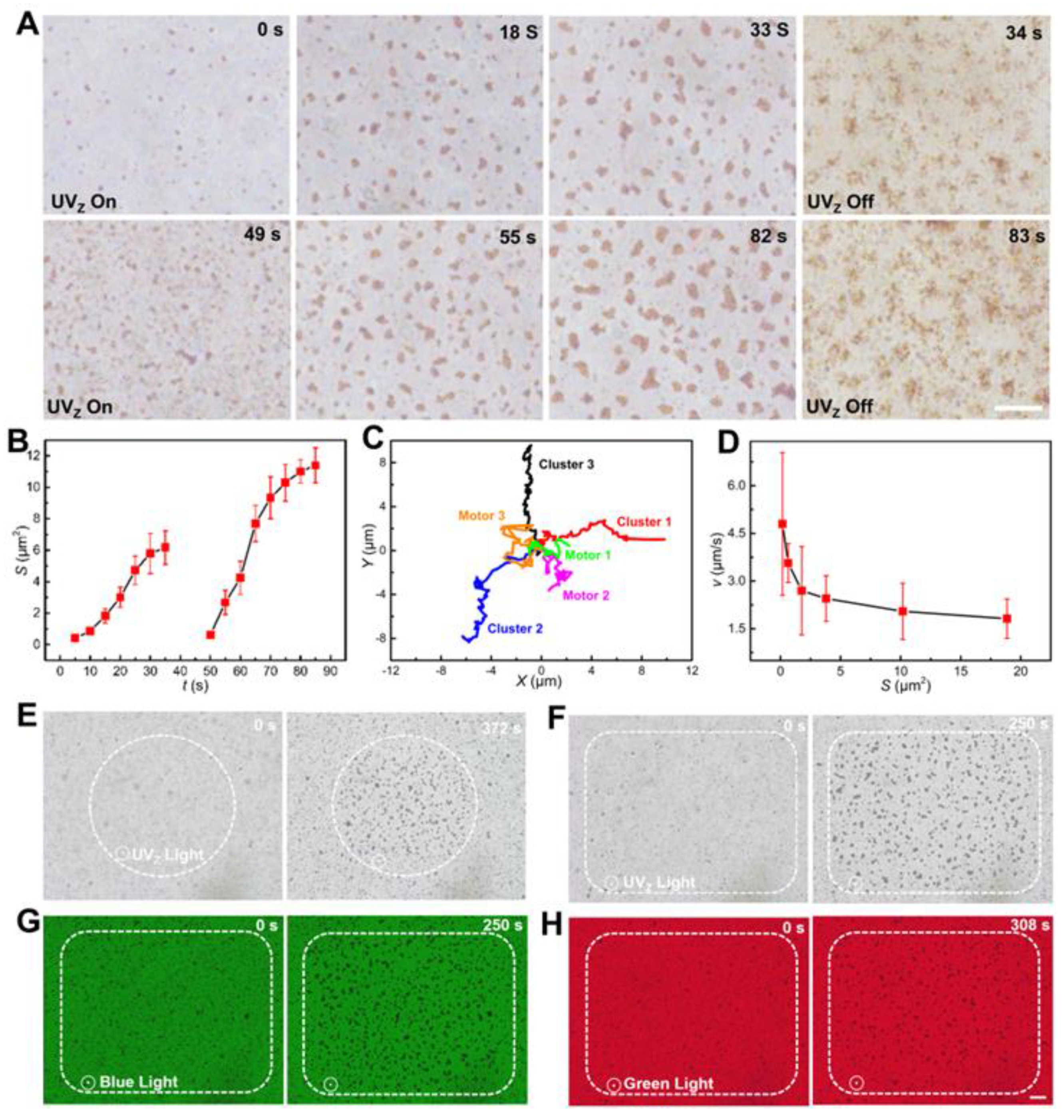 Nanomaterials 13 01370 g003