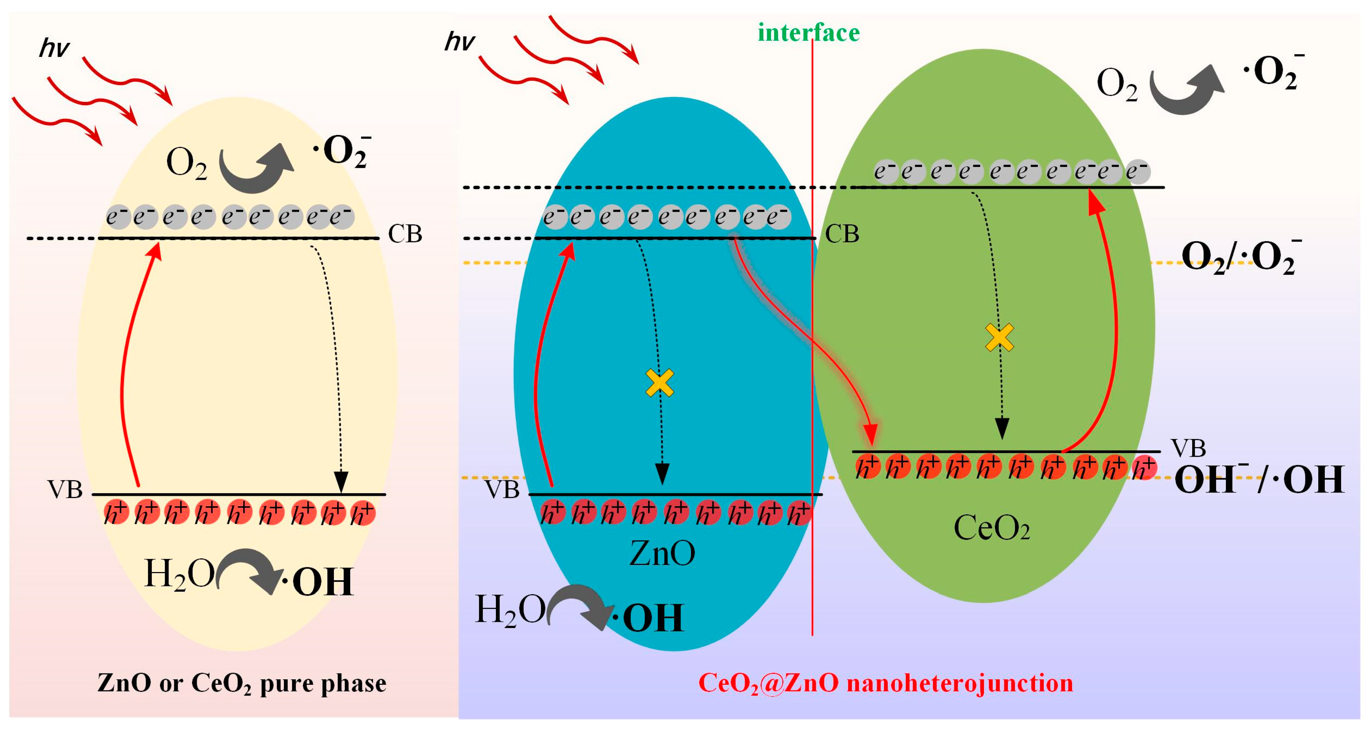 Nanomaterials 13 01371 g010