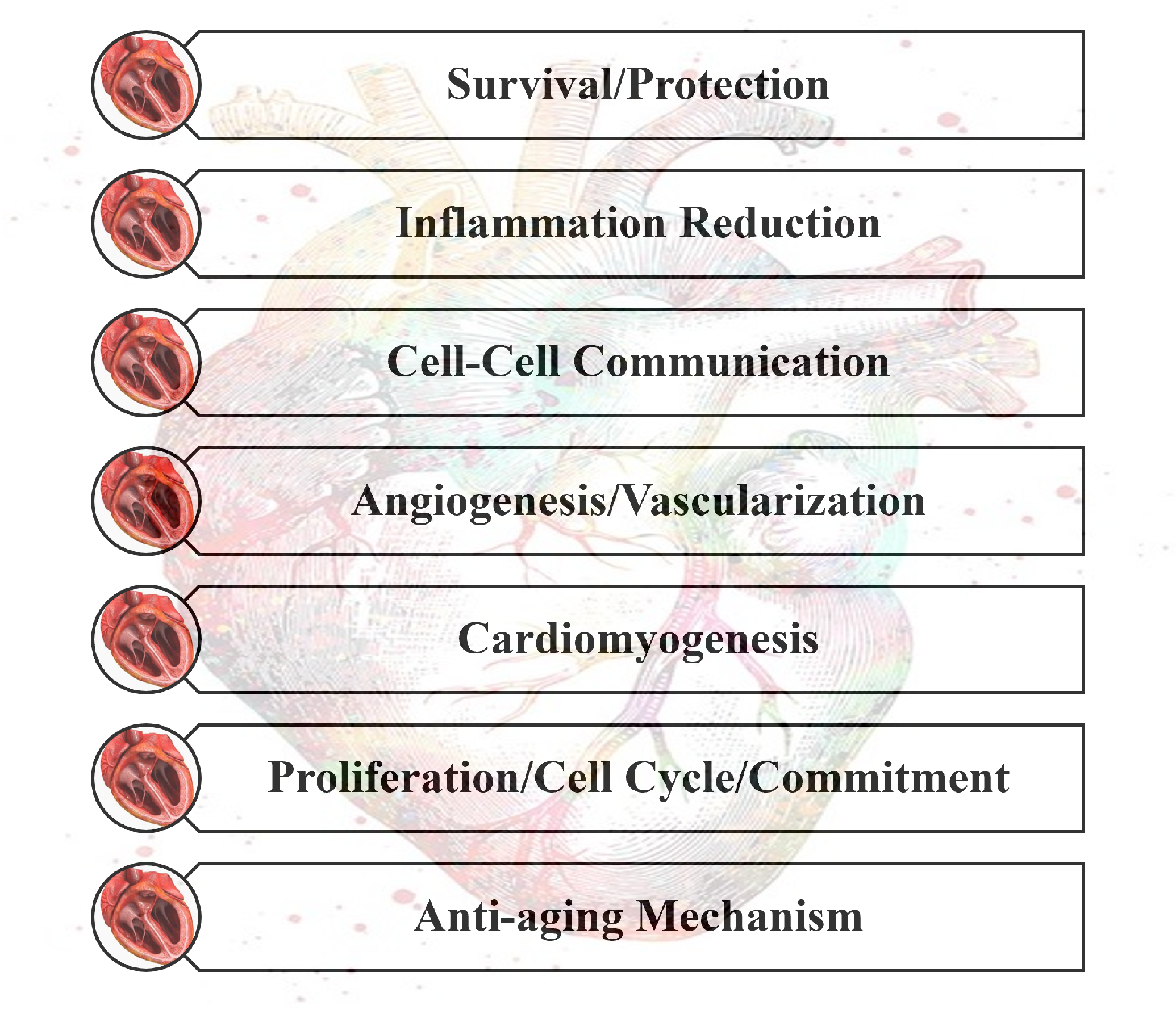 Nanomaterials 13 01374 g002