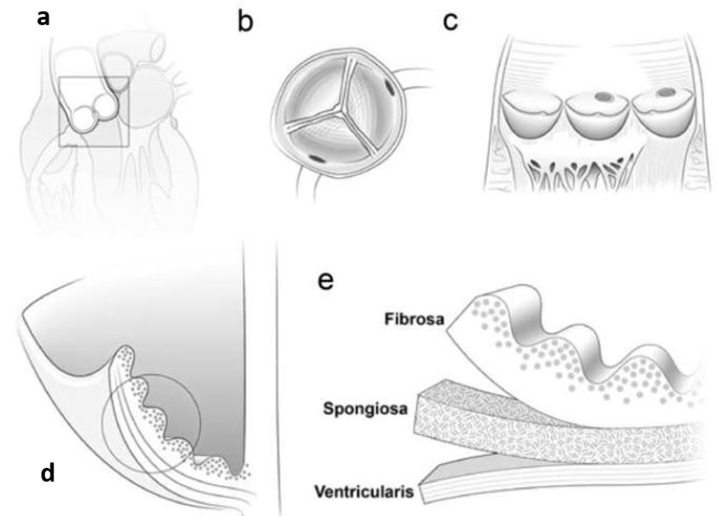 Nanomaterials 13 01374 g005
