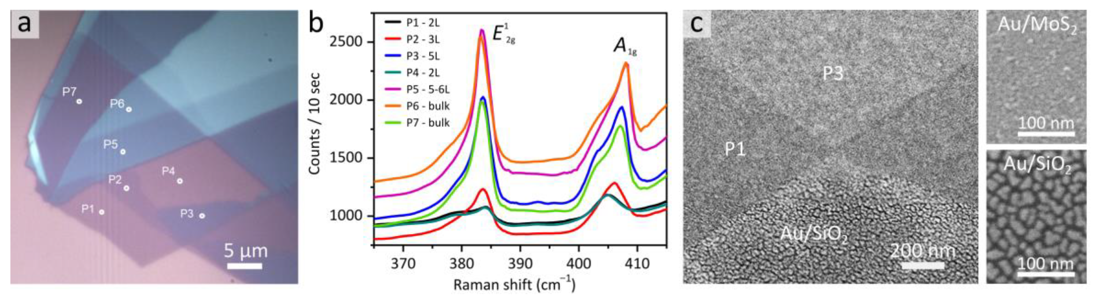 Nanomaterials 13 01376 g001 Nanomaterials 13 01376 g001