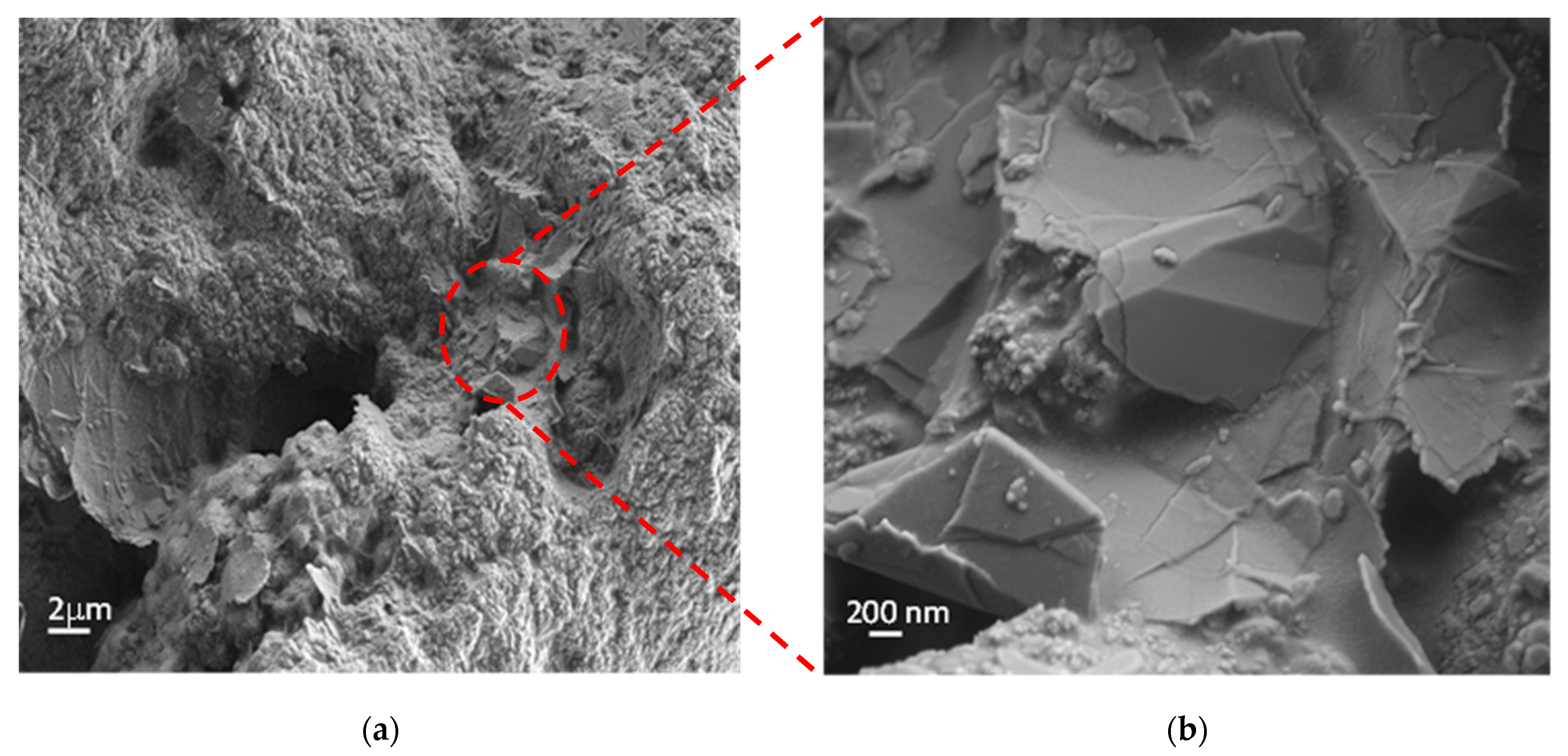 Nanomaterials 13 01378 g002 Nanomaterials 13 01378 g002