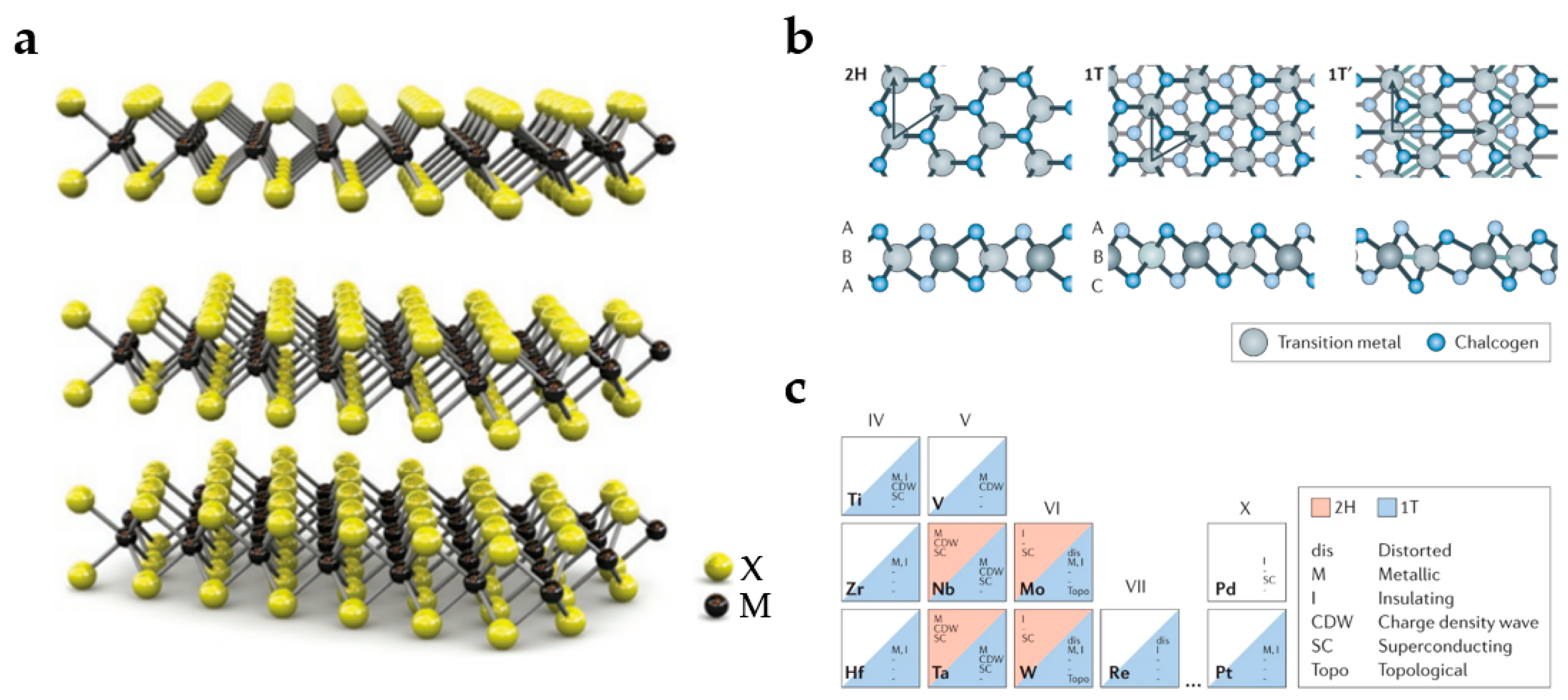 Nanomaterials 13 01379 g009