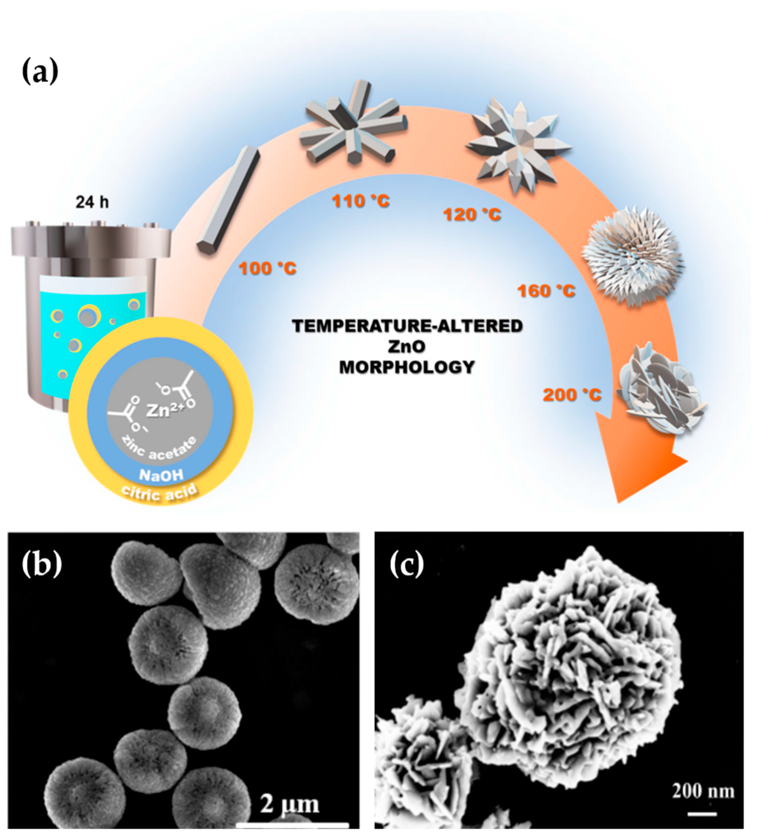 Nanomaterials 13 01380 g002 Nanomaterials 13 01380 g002