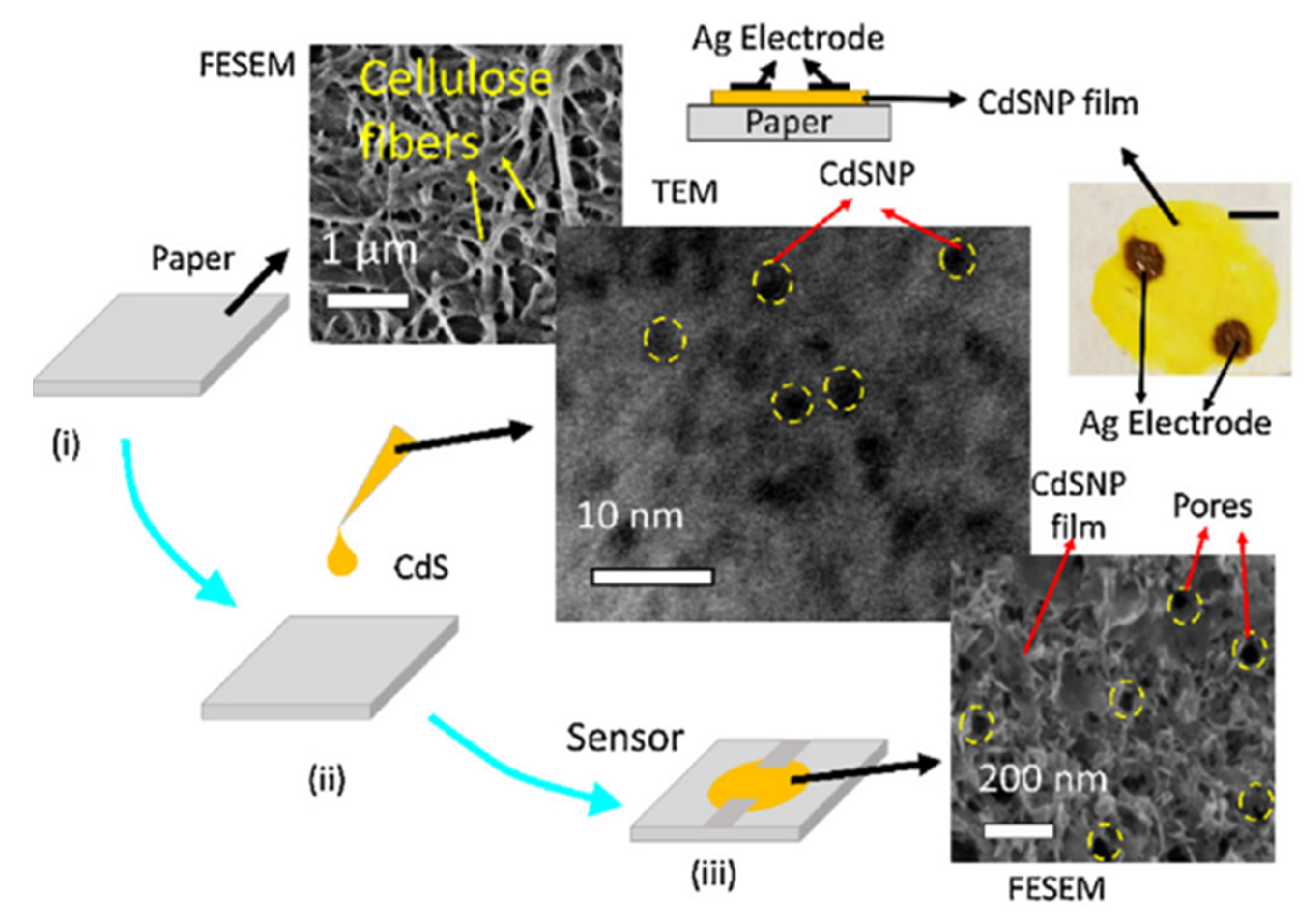 Nanomaterials 13 01381 g021 Nanomaterials 13 01381 g021