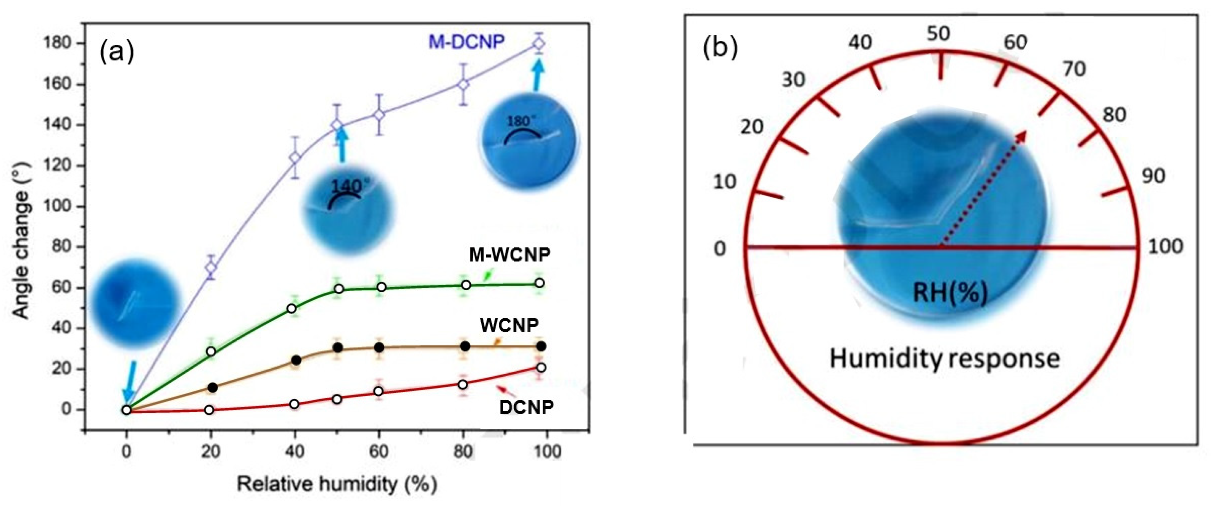 Nanomaterials 13 01381 g036 Nanomaterials 13 01381 g036