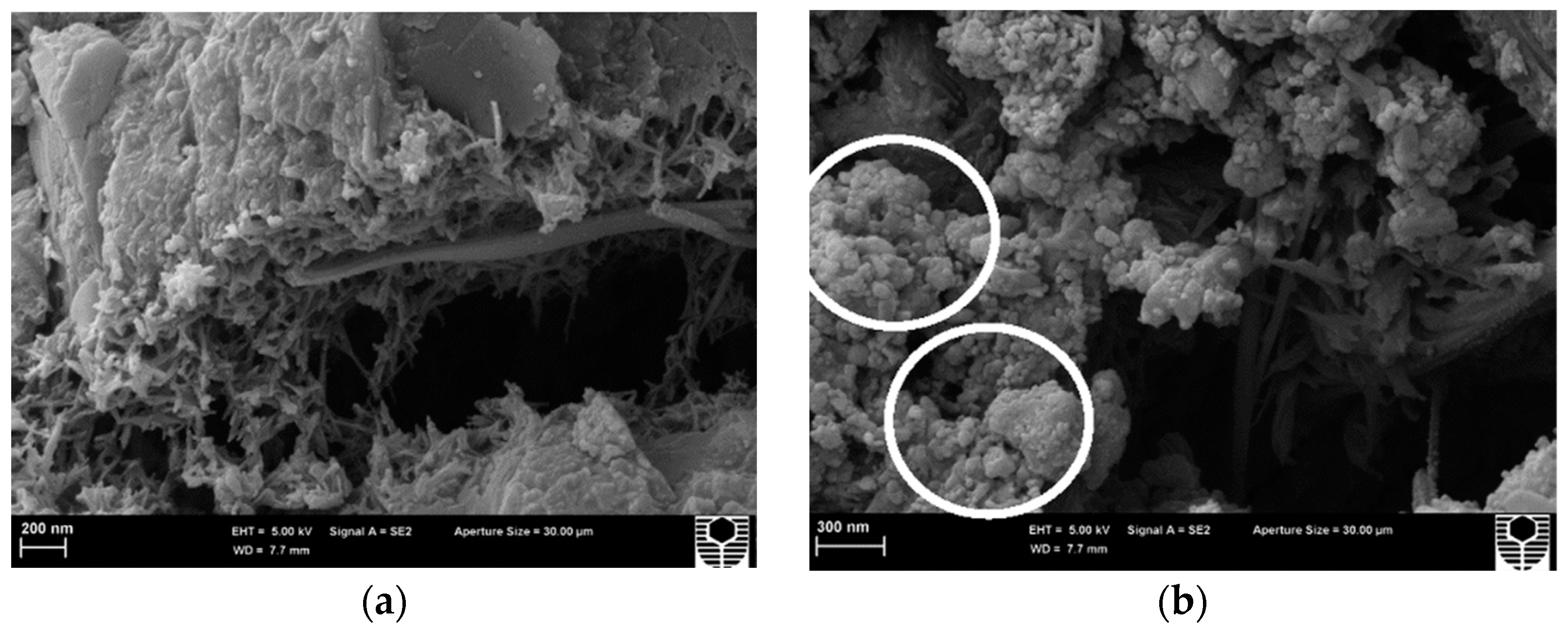 Nanomaterials 13 01383 g002 Nanomaterials 13 01383 g002