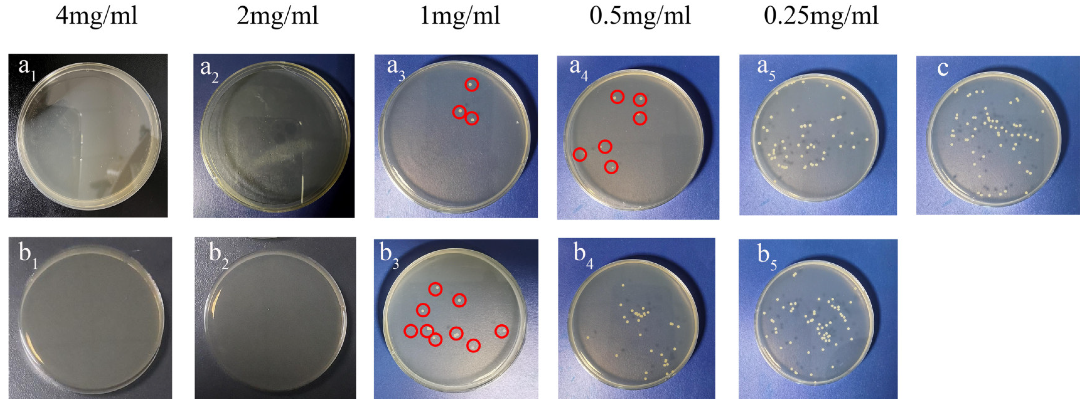 Nanomaterials 13 01384 g009 Nanomaterials 13 01384 g009