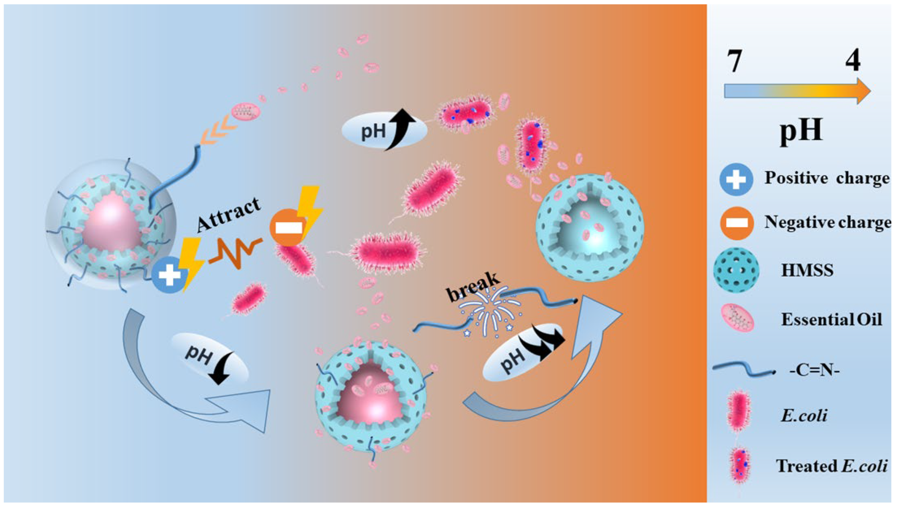 Nanomaterials 13 01384 sch001 Nanomaterials 13 01384 sch001