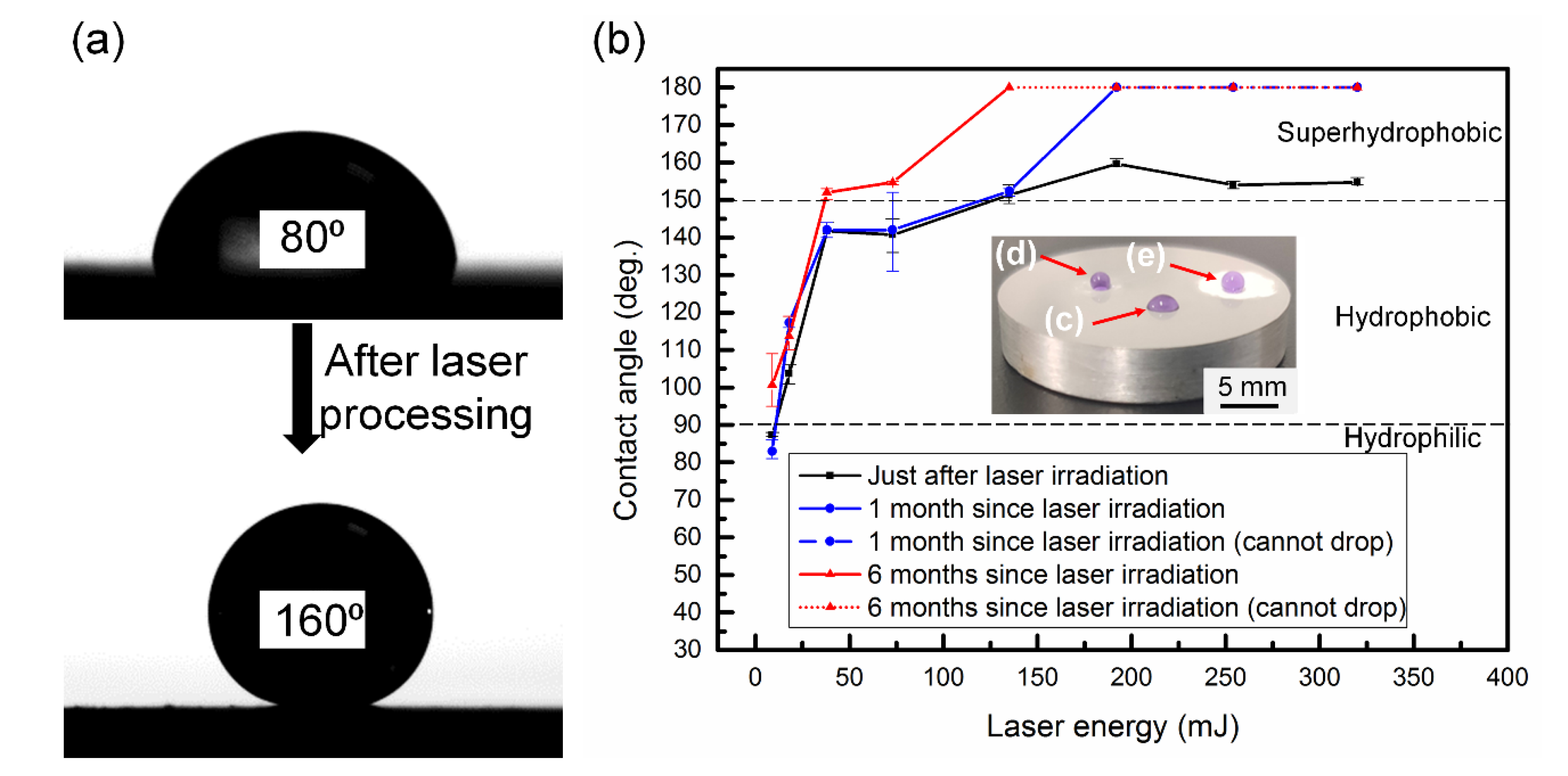 Nanomaterials 13 01392 g004 Nanomaterials 13 01392 g004