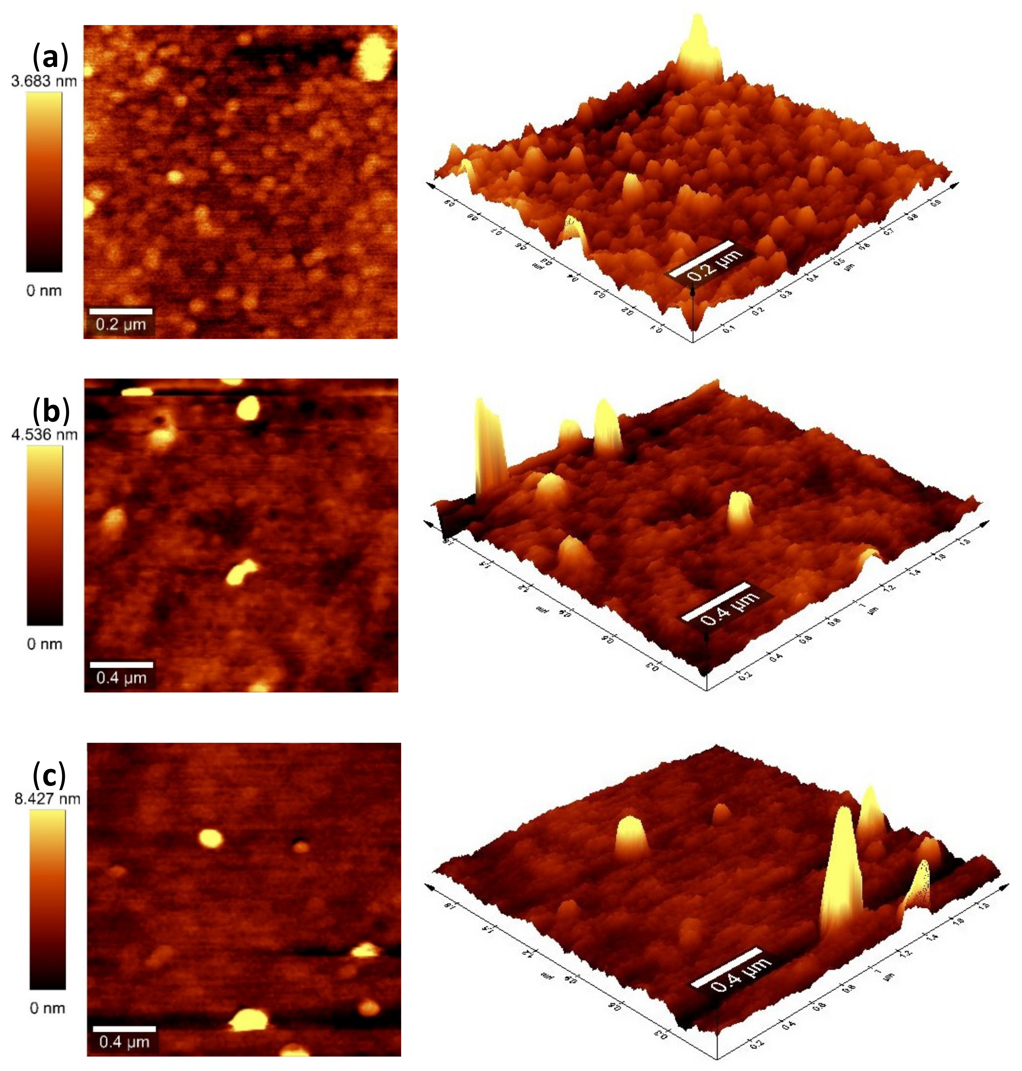 Nanomaterials 13 01403 g006