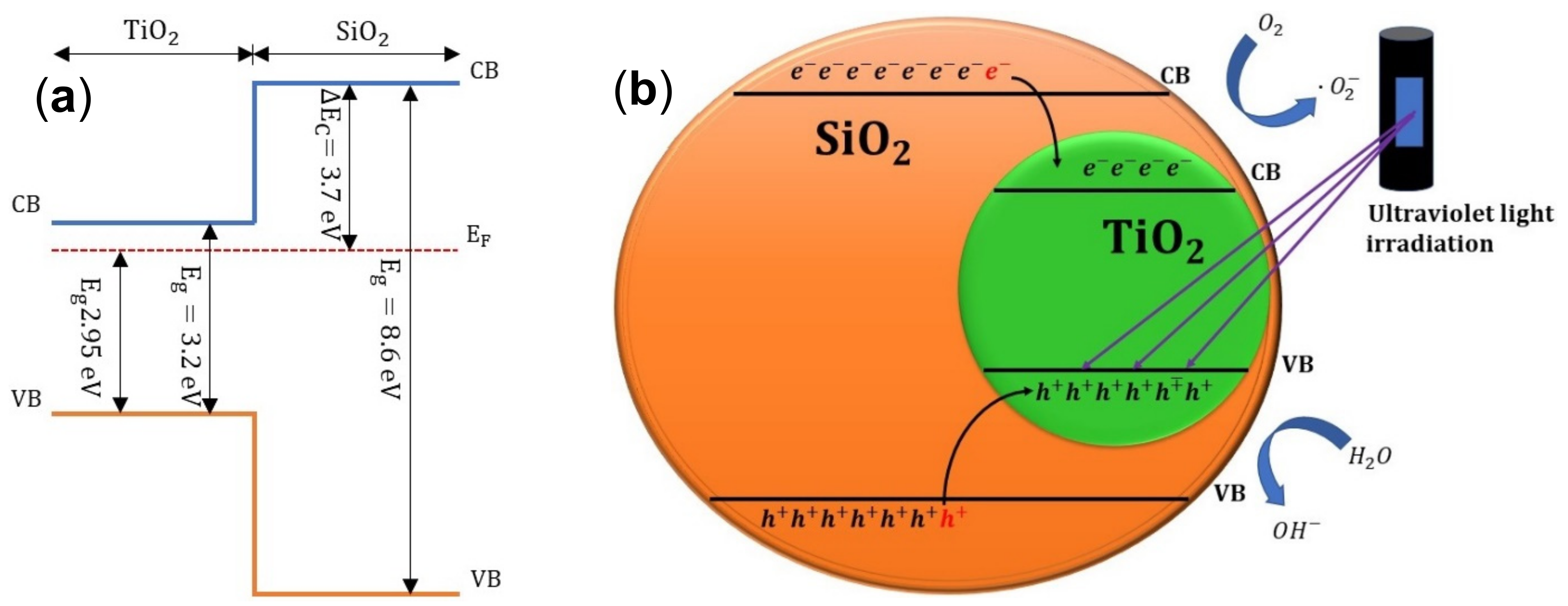 Nanomaterials 13 01403 g010