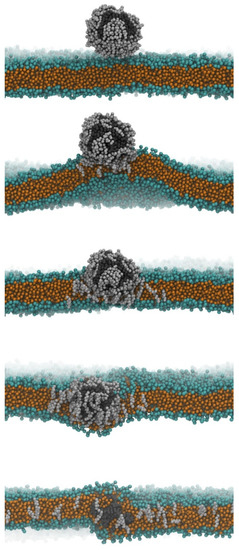 Nanomaterials 13 01404 g002 550