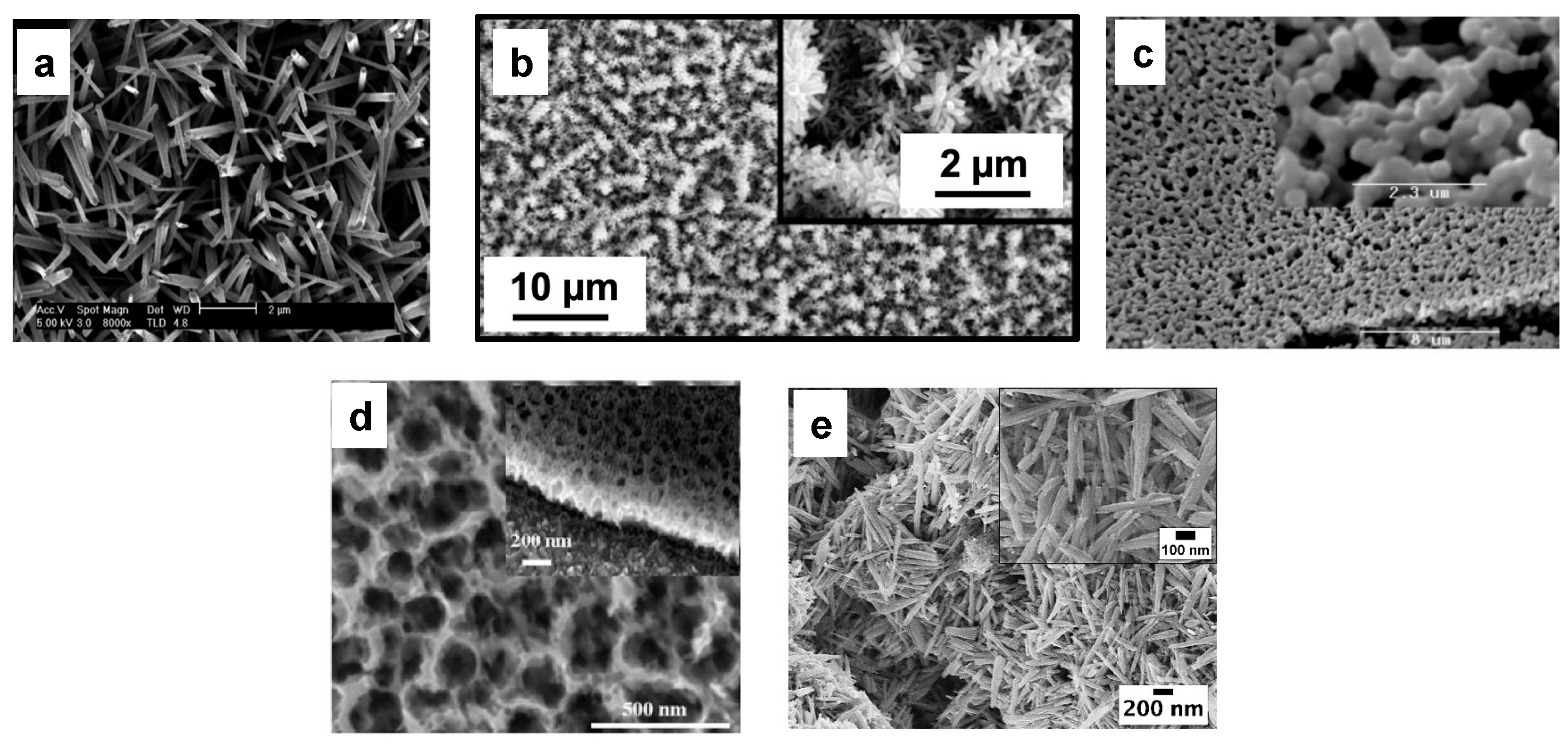 Nanomaterials 13 01418 g004