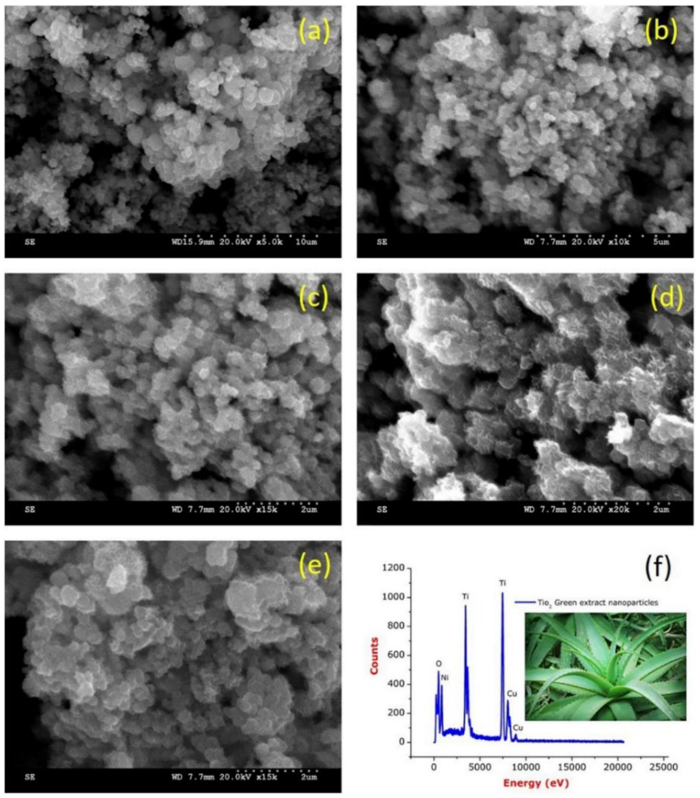 Nanomaterials 13 01424 g017 Nanomaterials 13 01424 g017