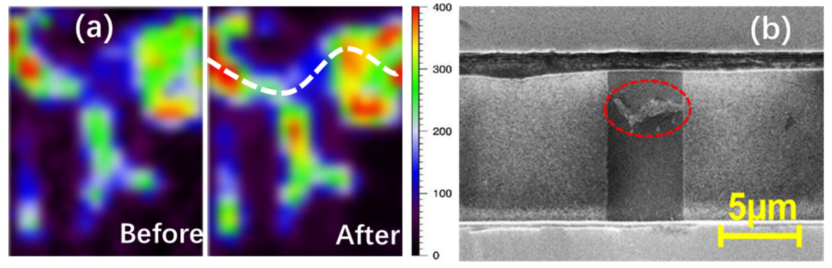 Nanomaterials 13 01426 g020
