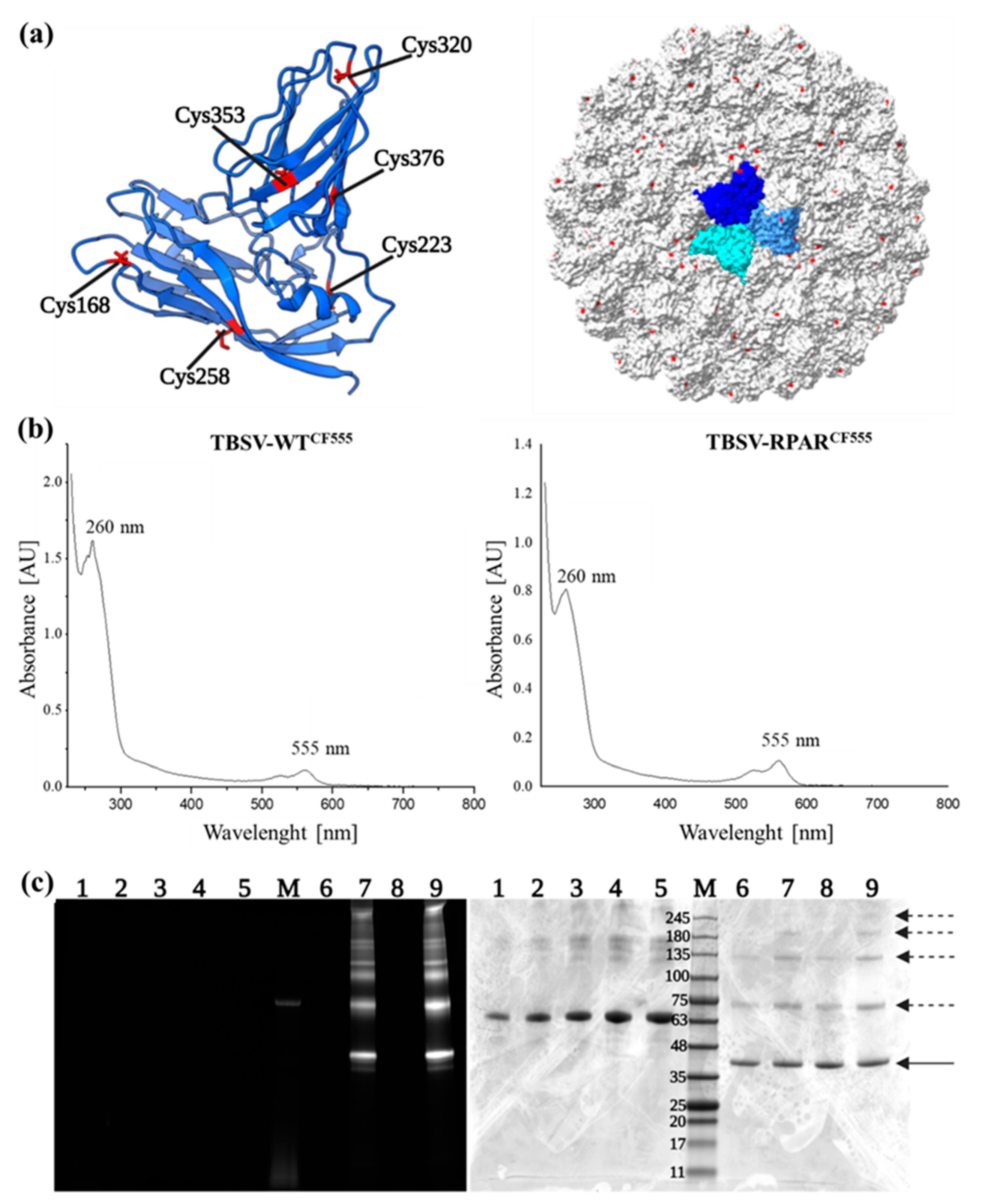 Nanomaterials 13 01428 g002 Nanomaterials 13 01428 g002
