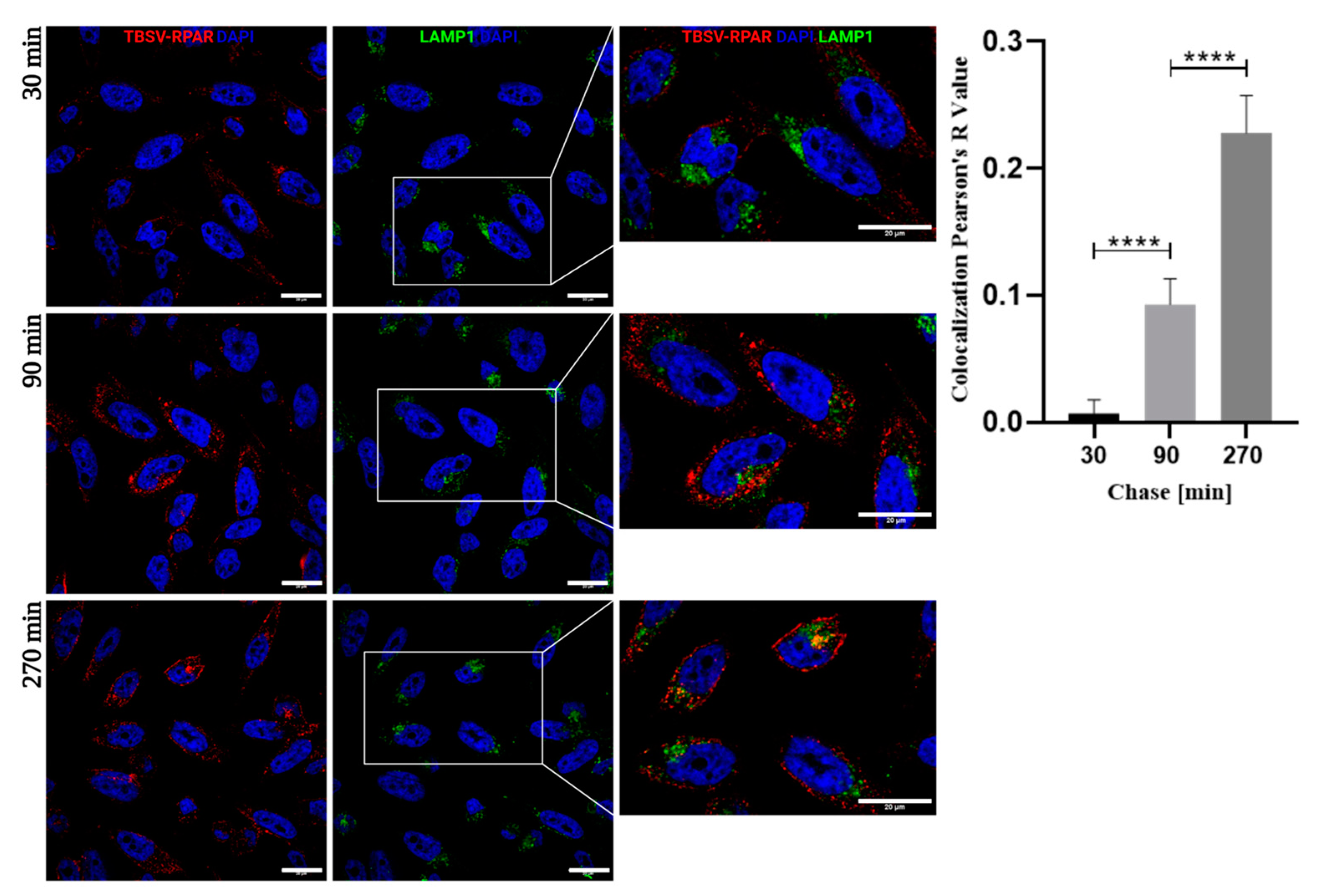 Nanomaterials 13 01428 g005 Nanomaterials 13 01428 g005
