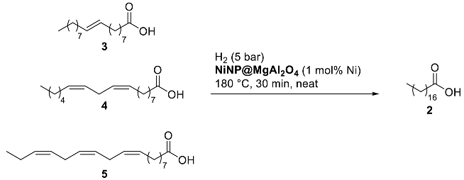Nanomaterials 13 01435 i002