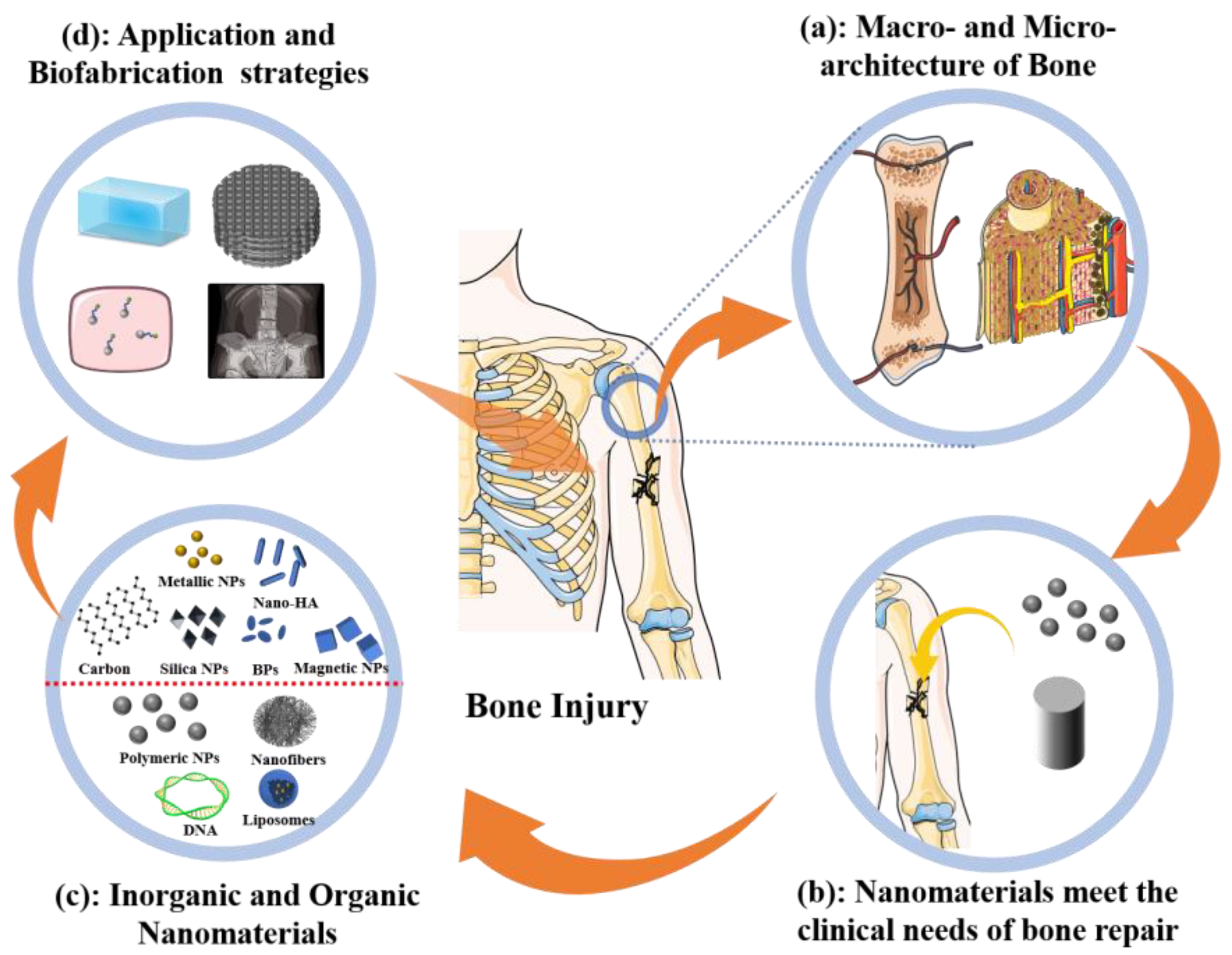 Nanomaterials 13 01449 g001 Nanomaterials 13 01449 g001