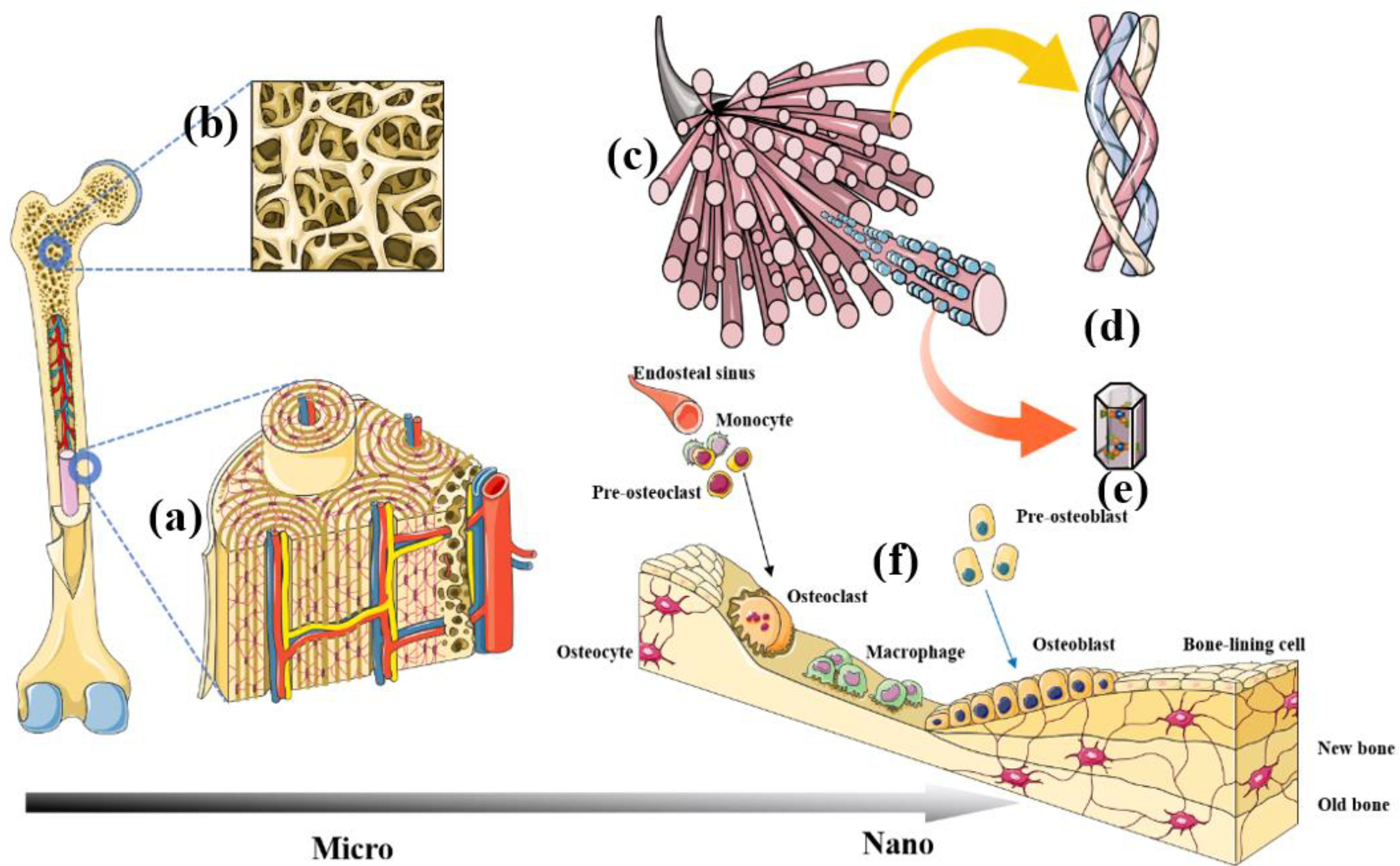 Nanomaterials 13 01449 g002 Nanomaterials 13 01449 g002