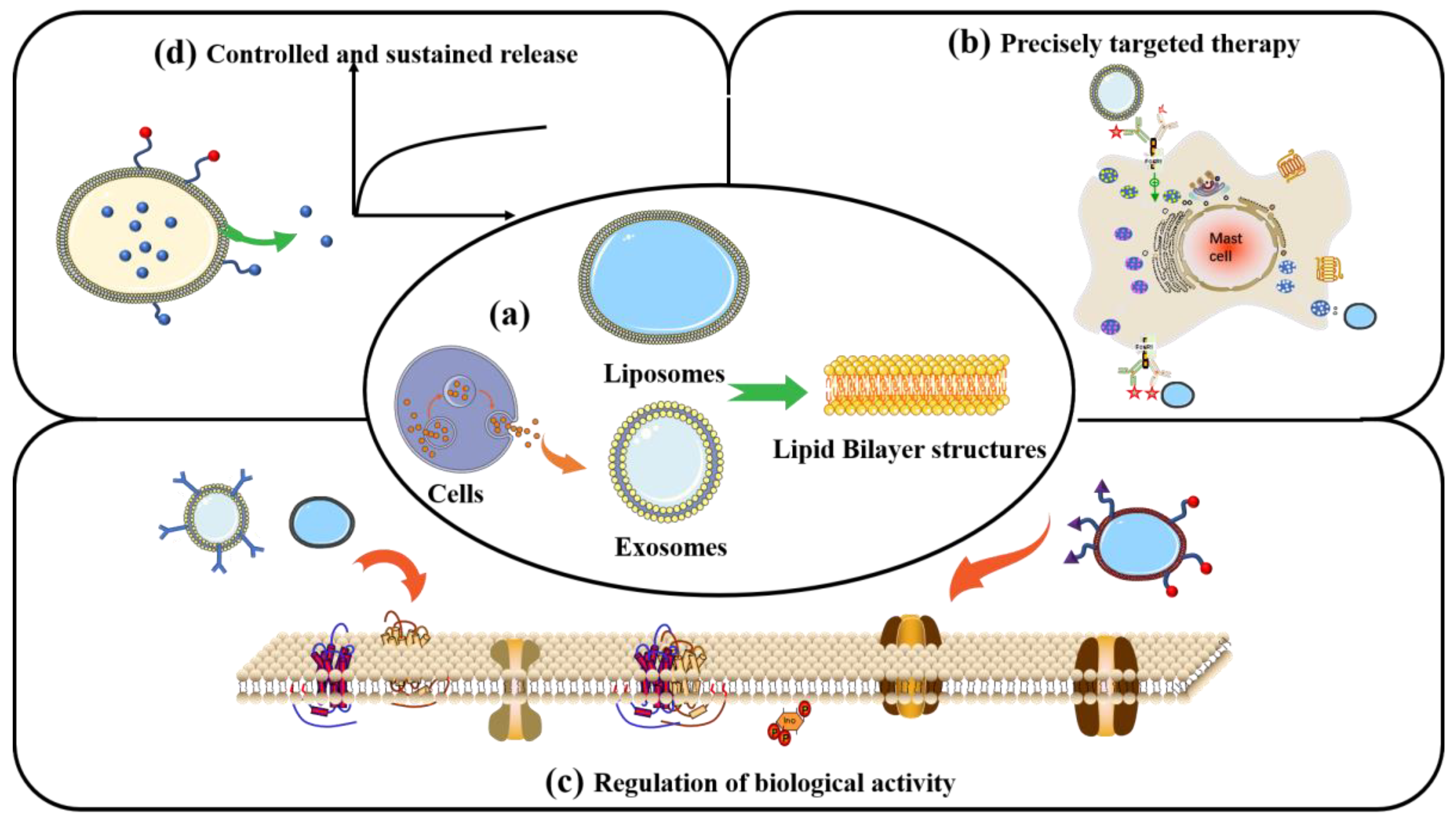 Nanomaterials 13 01449 g006 Nanomaterials 13 01449 g006