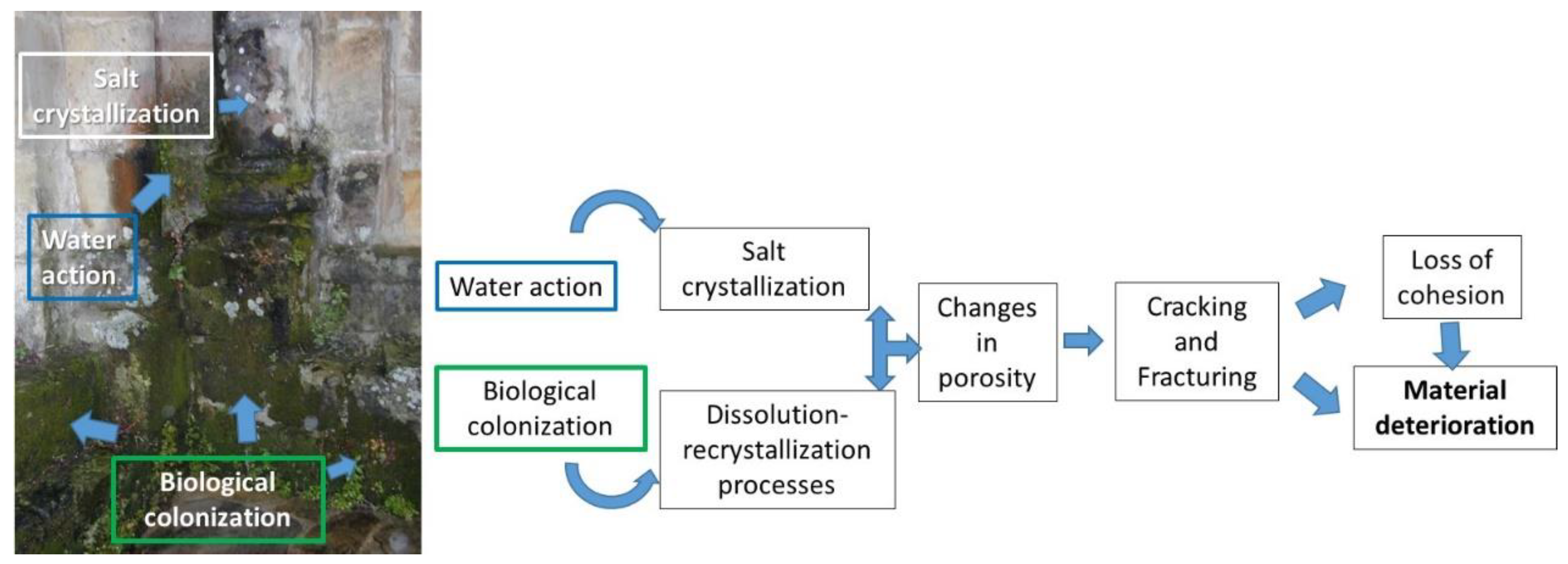 Nanomaterials 13 01454 g002