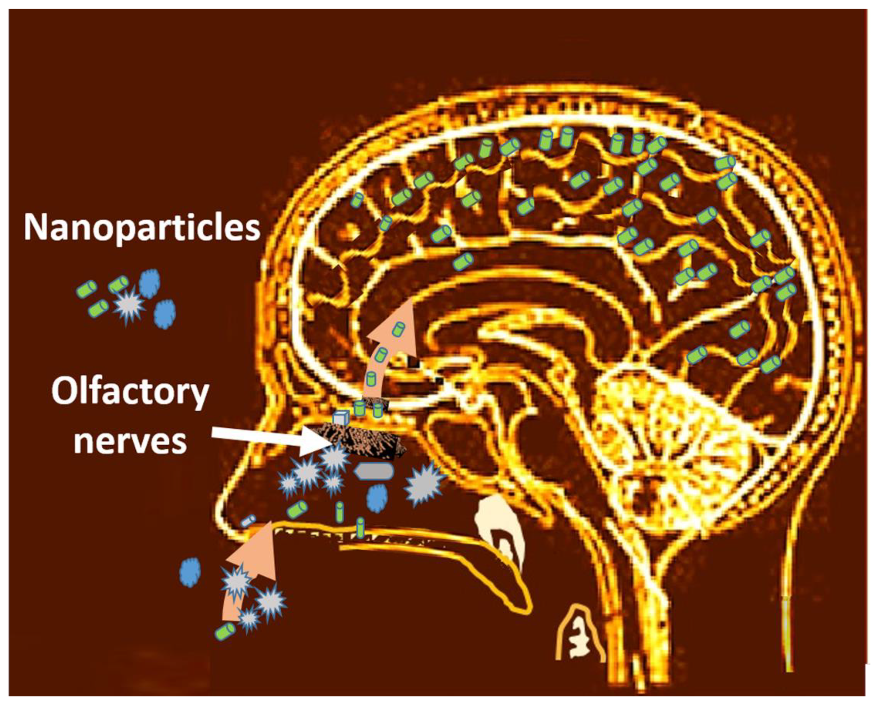 Nanomaterials 13 01454 g005