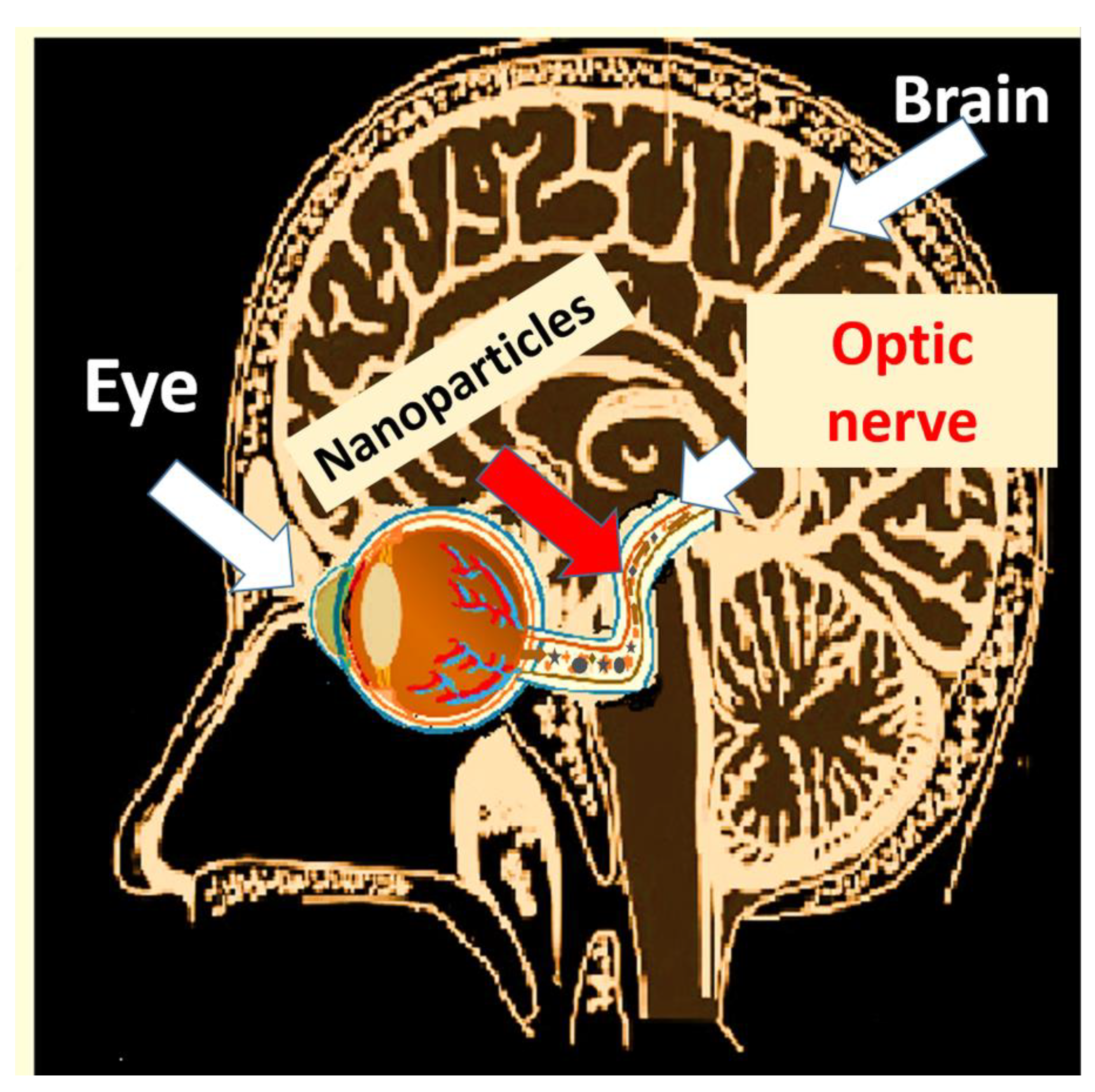 Nanomaterials 13 01454 g006