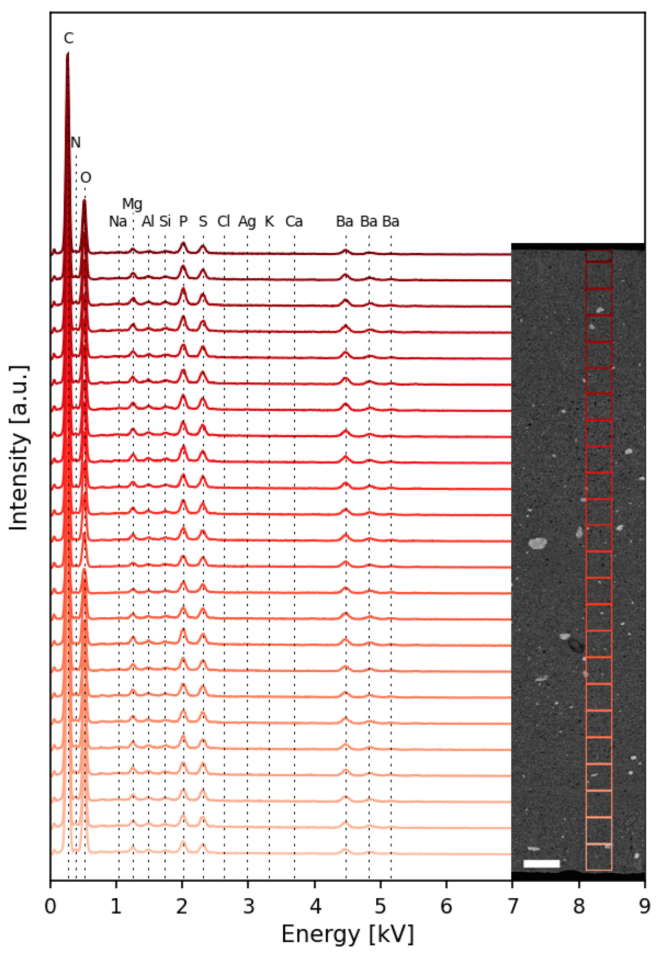Nanomaterials 13 01467 g003 Nanomaterials 13 01467 g003