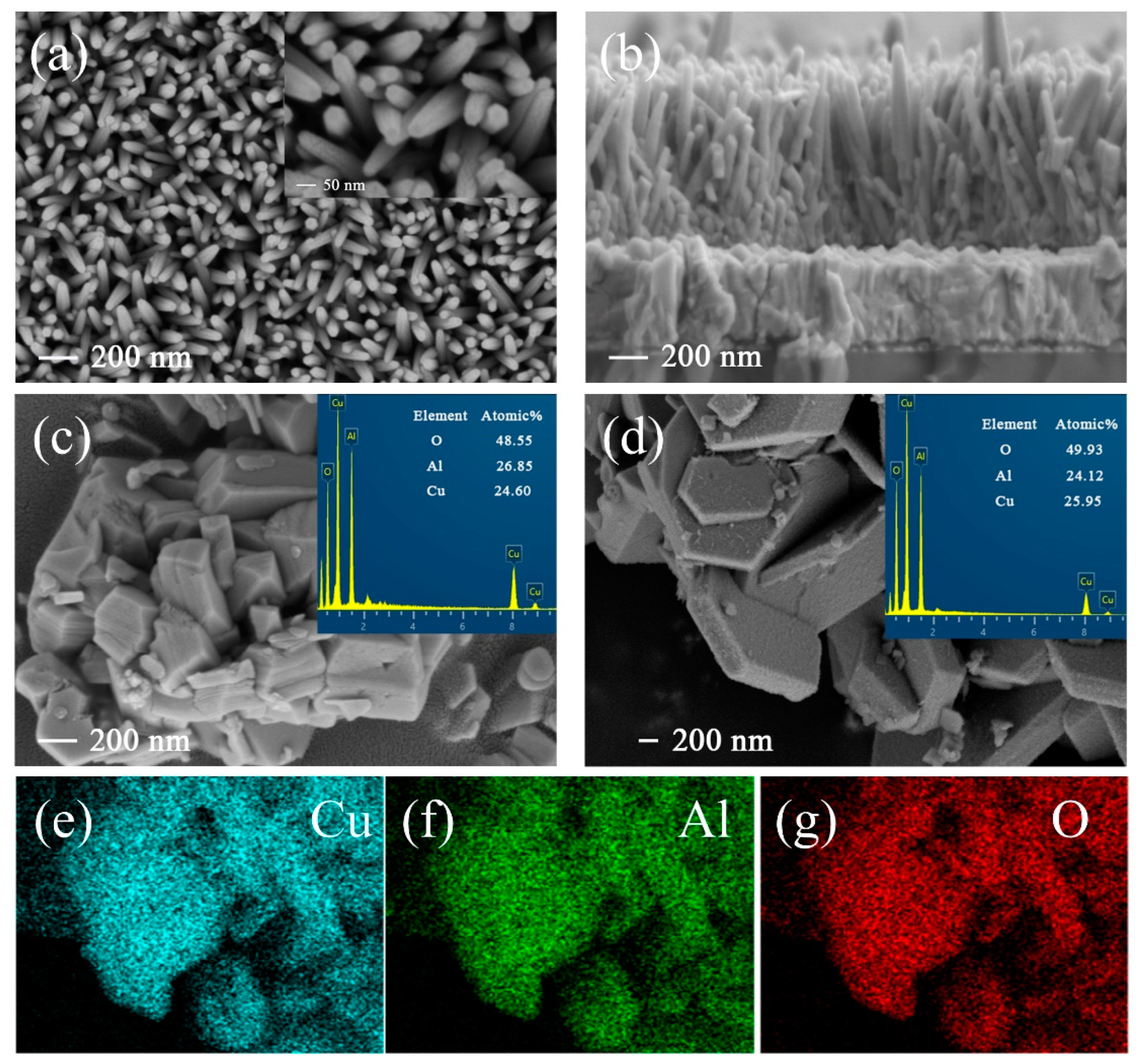 Nanomaterials 13 01472 g001 Nanomaterials 13 01472 g001