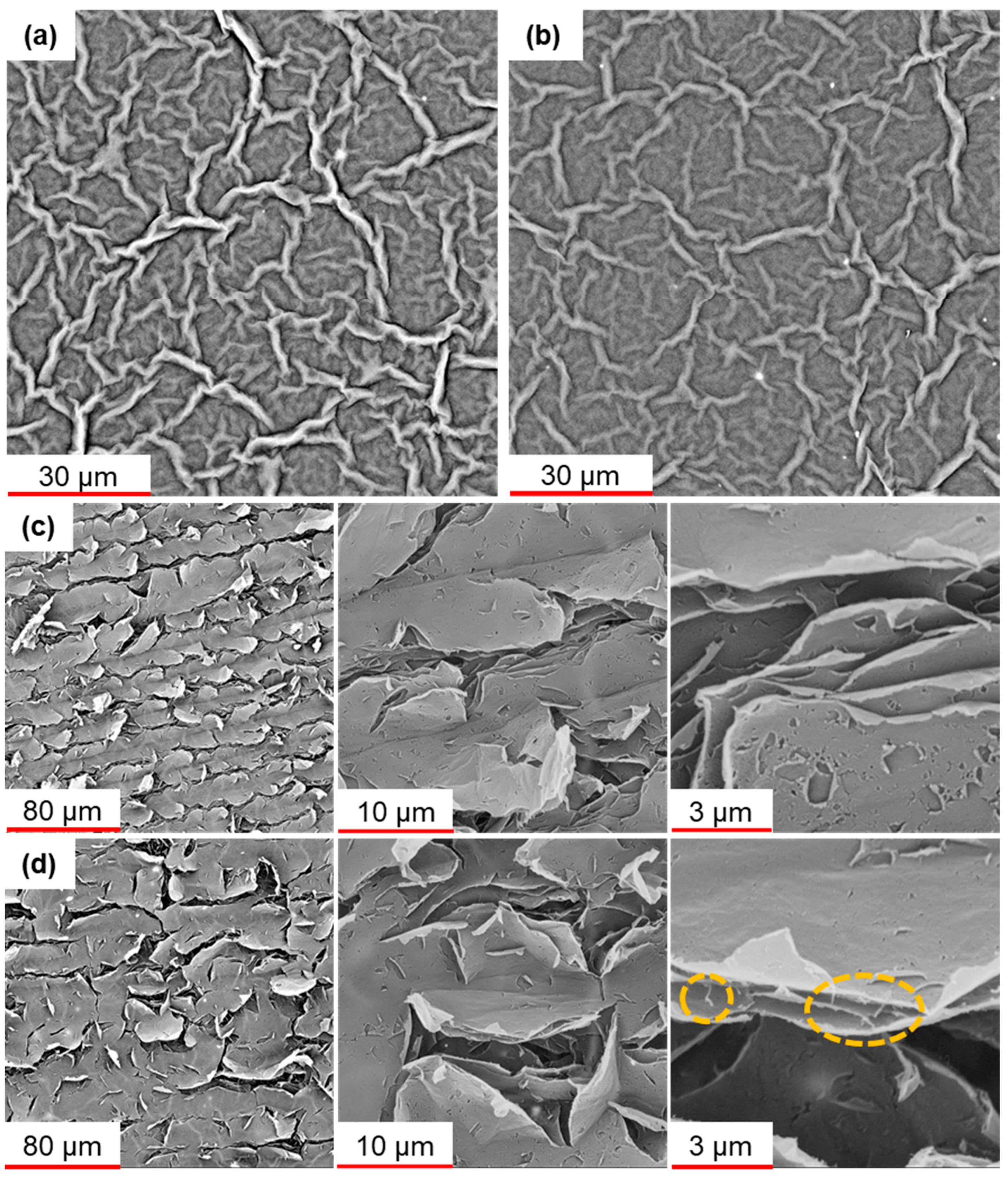 Nanomaterials 13 01473 g003 Nanomaterials 13 01473 g003