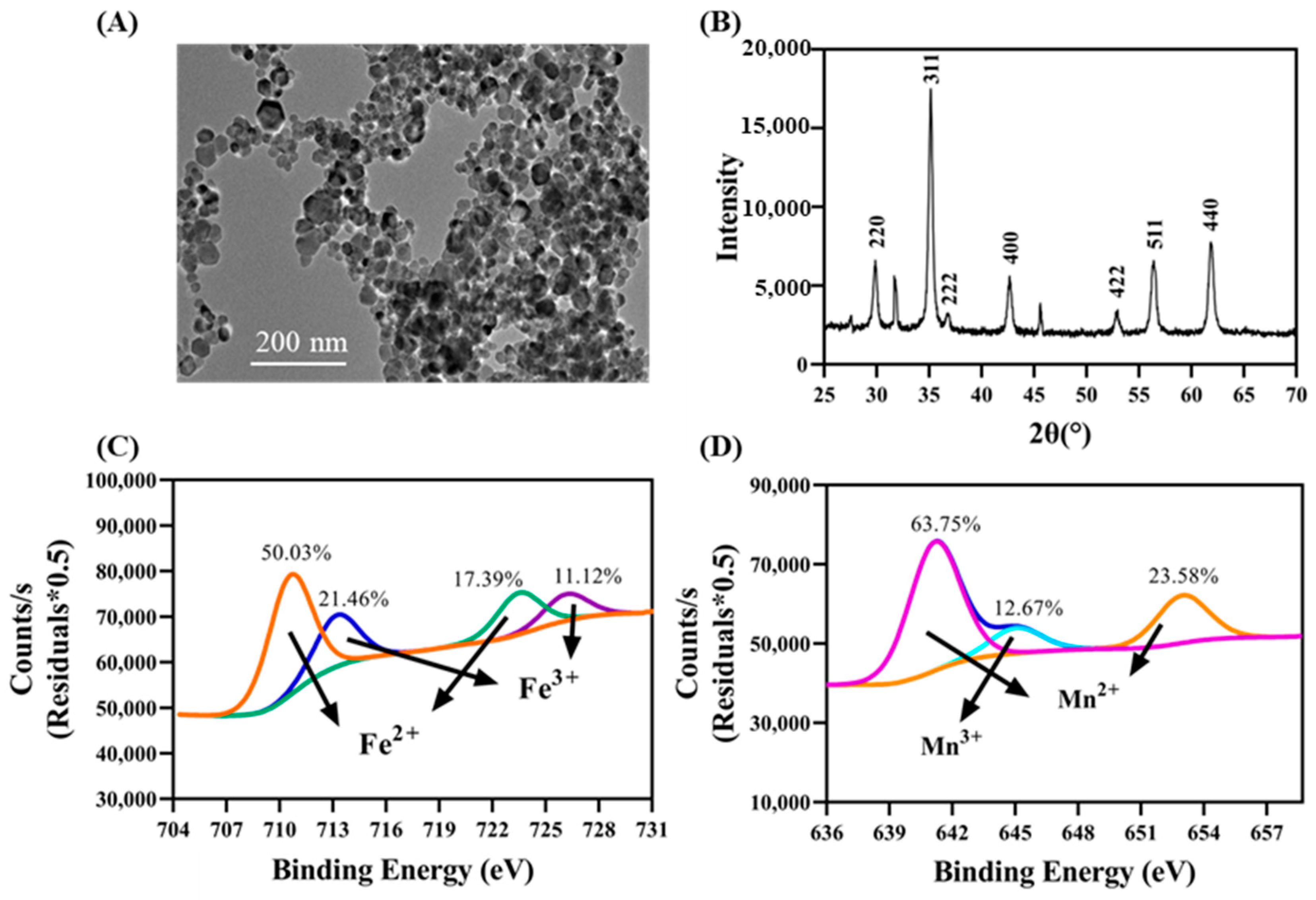 The Mechanism of Manganese Ferrite Nanomaterials Promoting