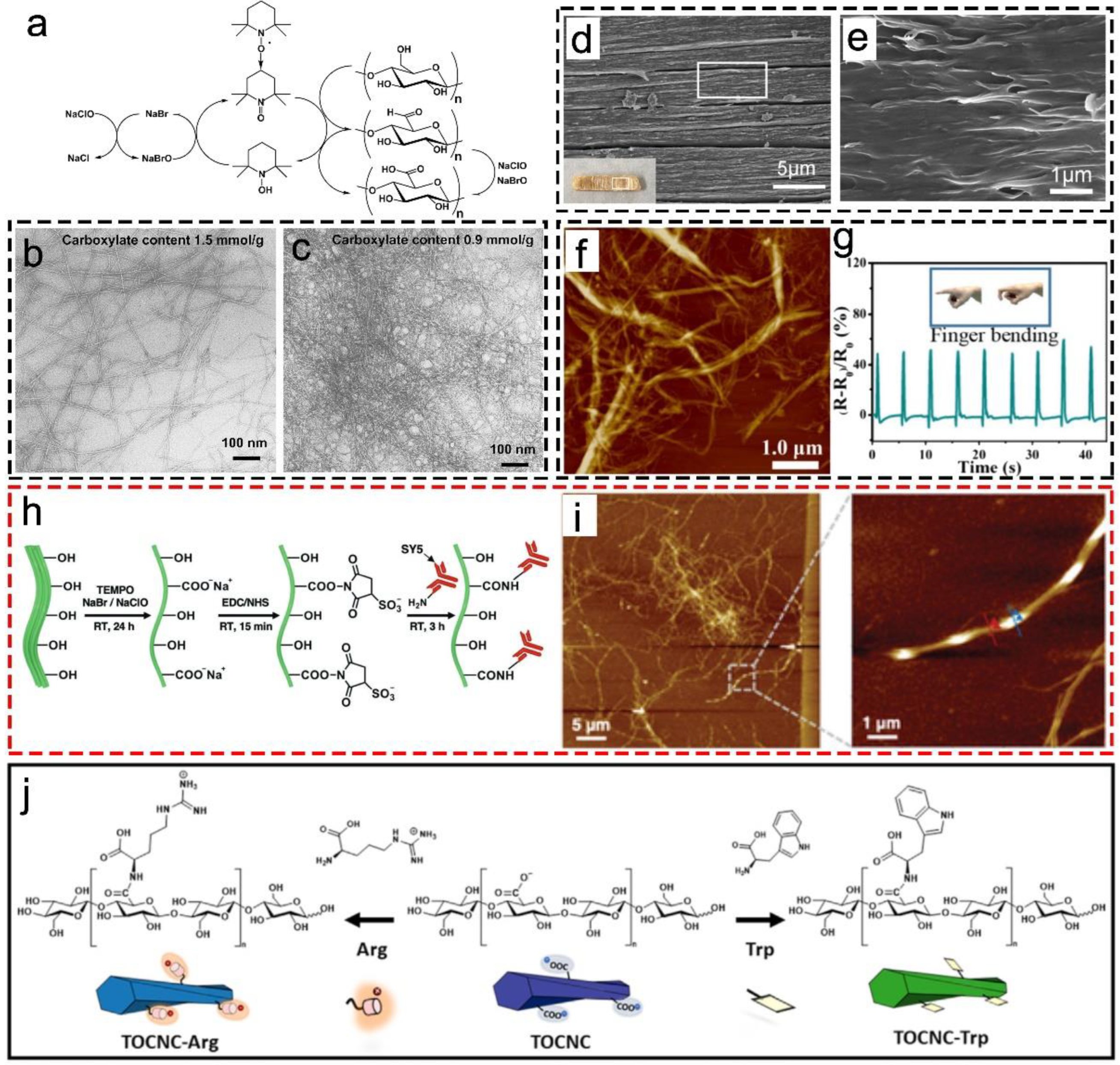 Nanomaterials 13 01489 g003