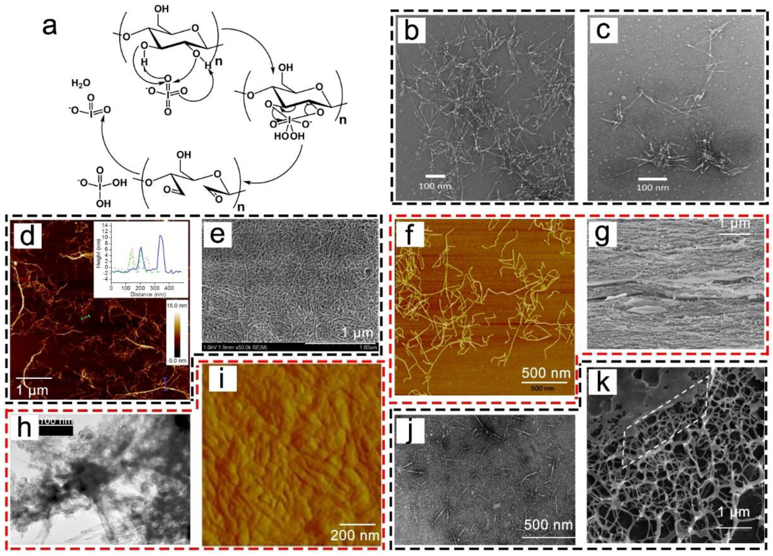 Nanomaterials 13 01489 g004