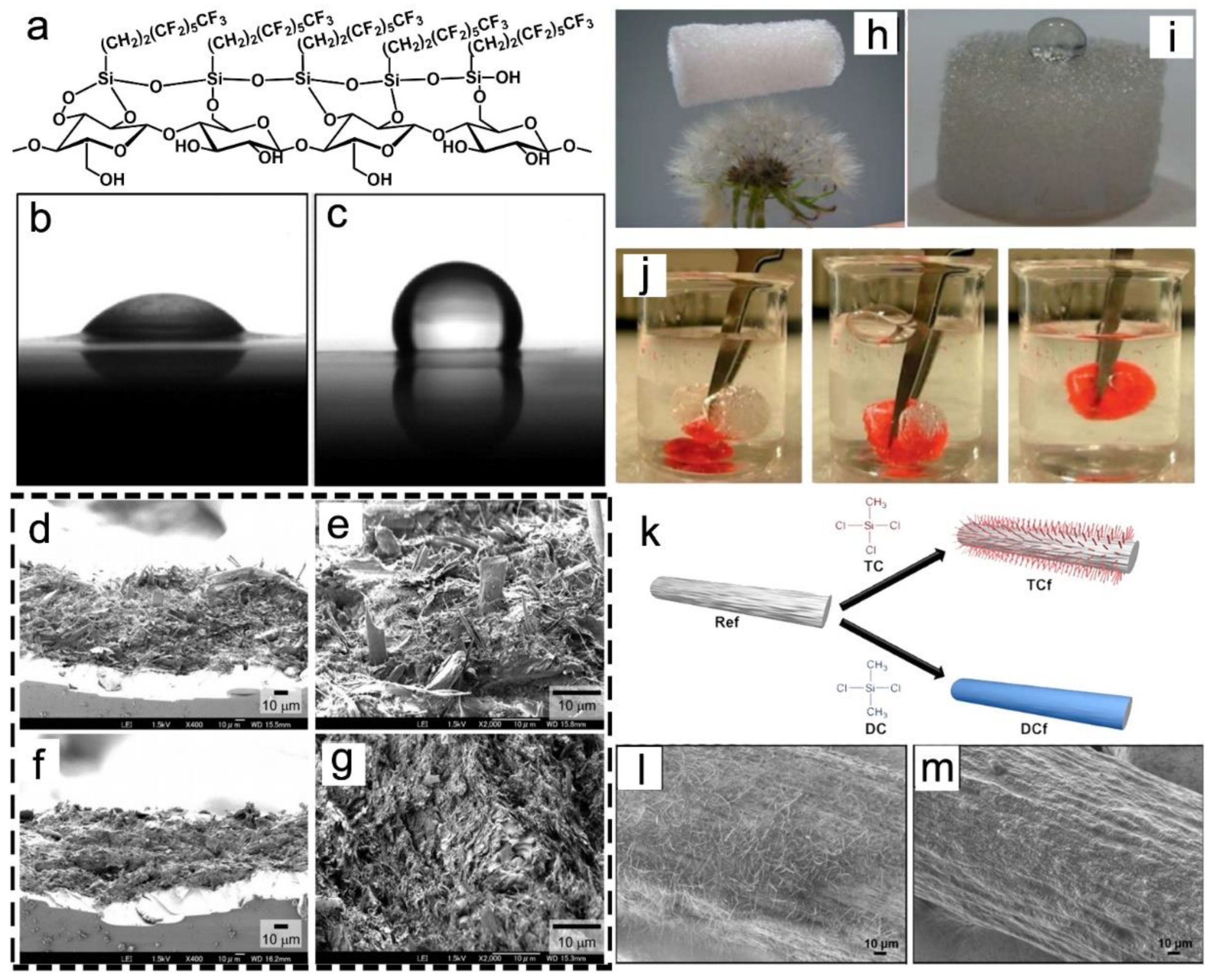 Nanomaterials 13 01489 g007