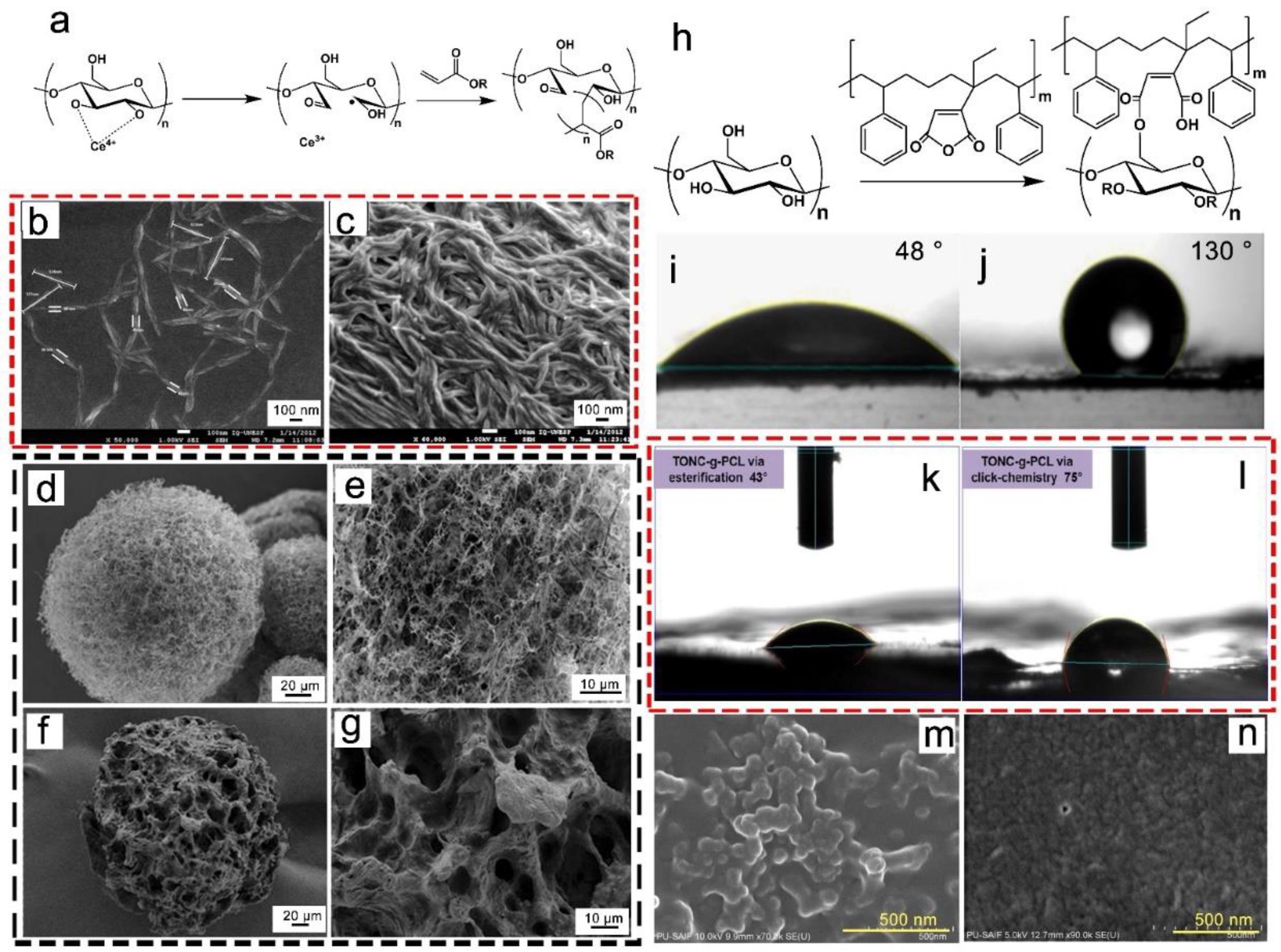 Nanomaterials 13 01489 g009