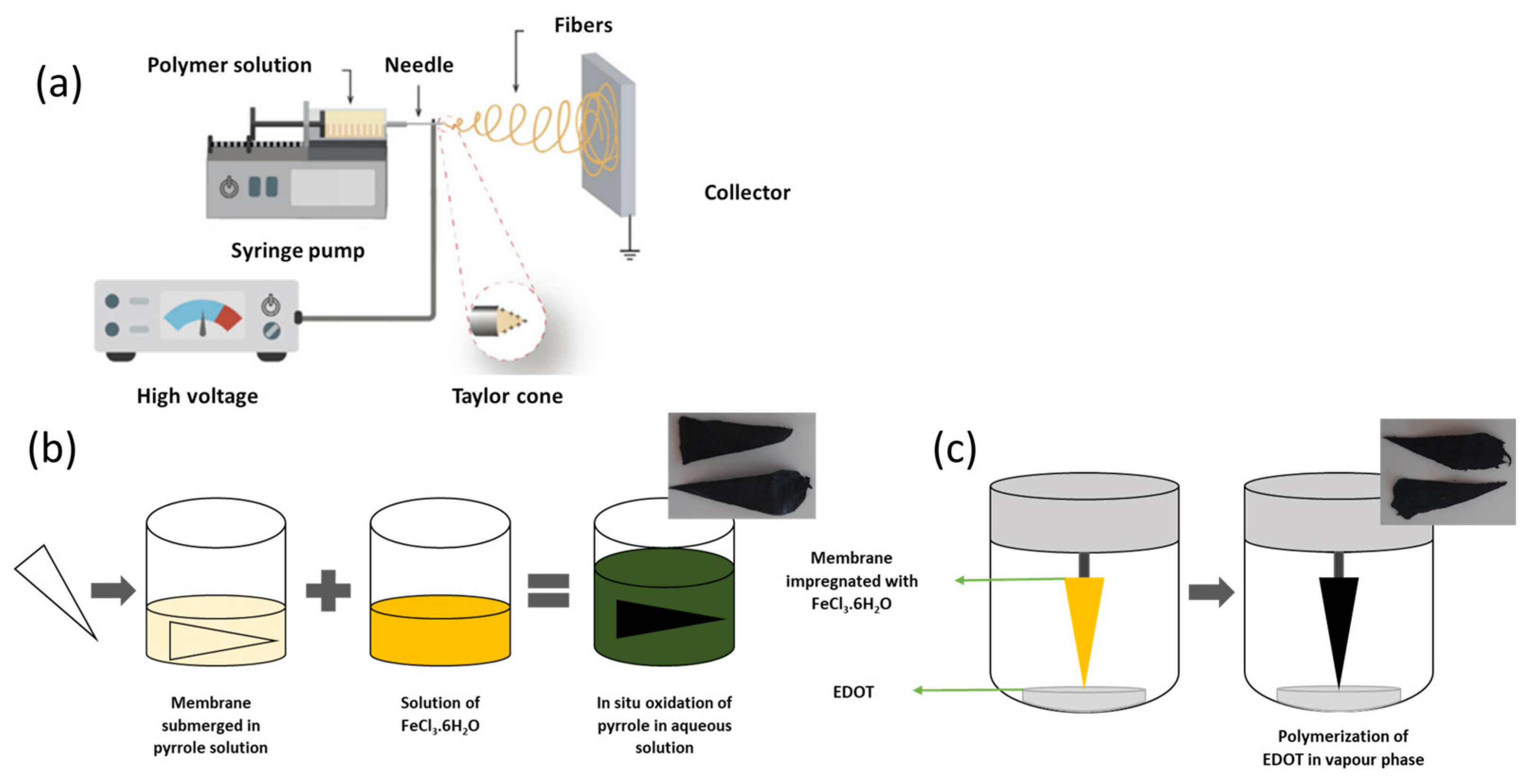 Nanomaterials 13 01493 g001