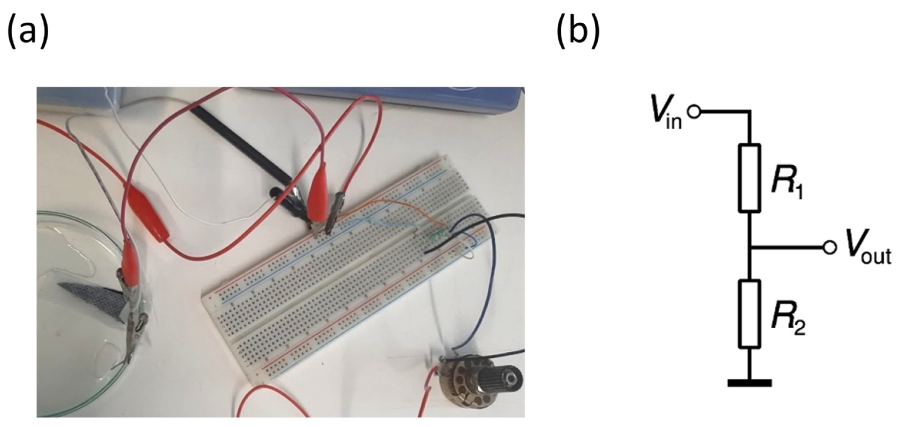 Nanomaterials 13 01493 g002